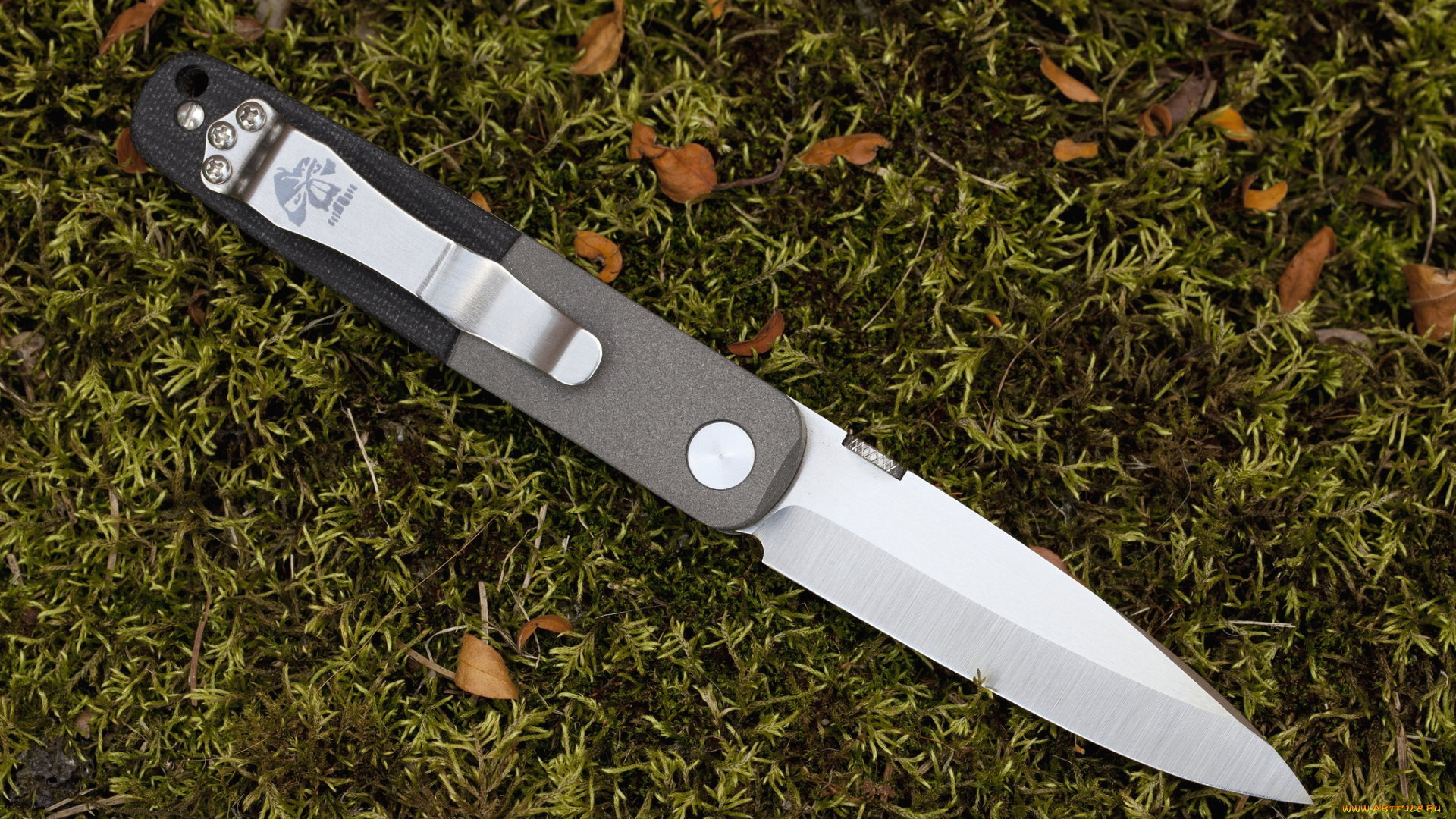 оружие, холодное, оружие, нож