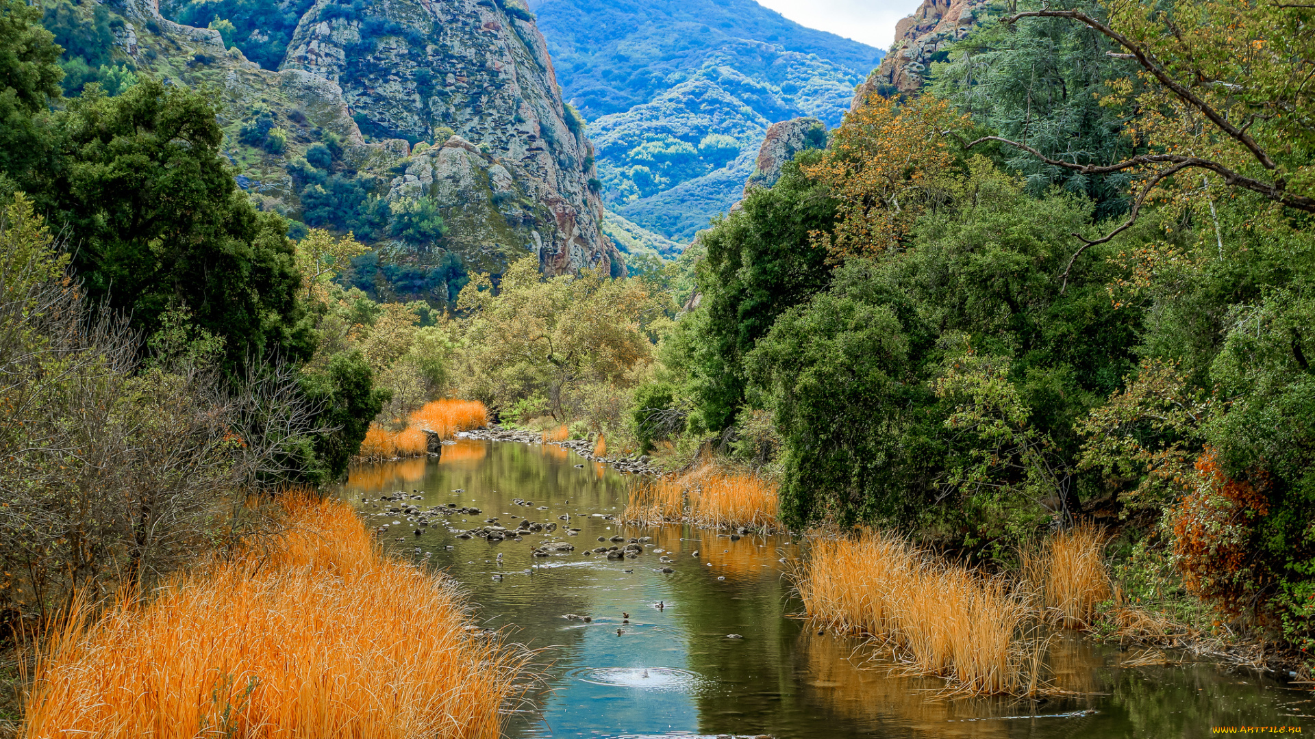 природа, реки, озера, лес, река, горы