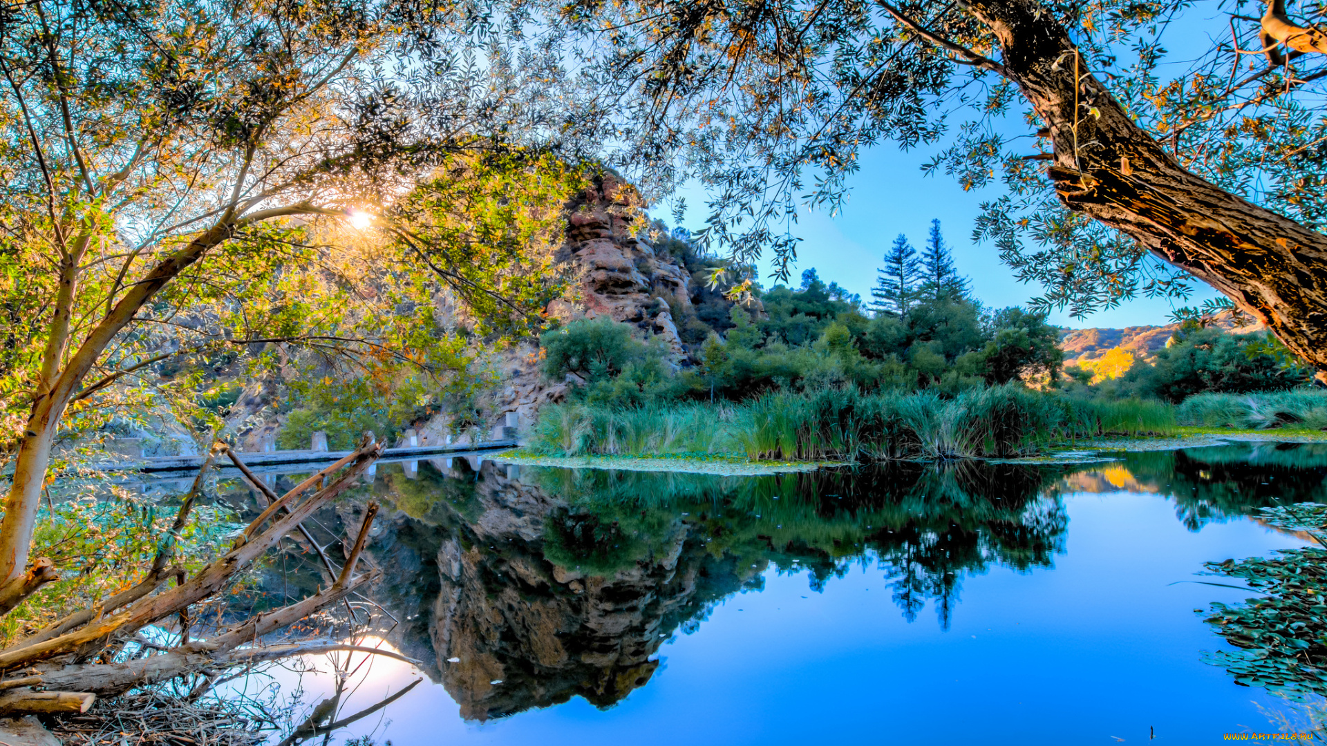 природа, реки, озера, лес, река, скалы