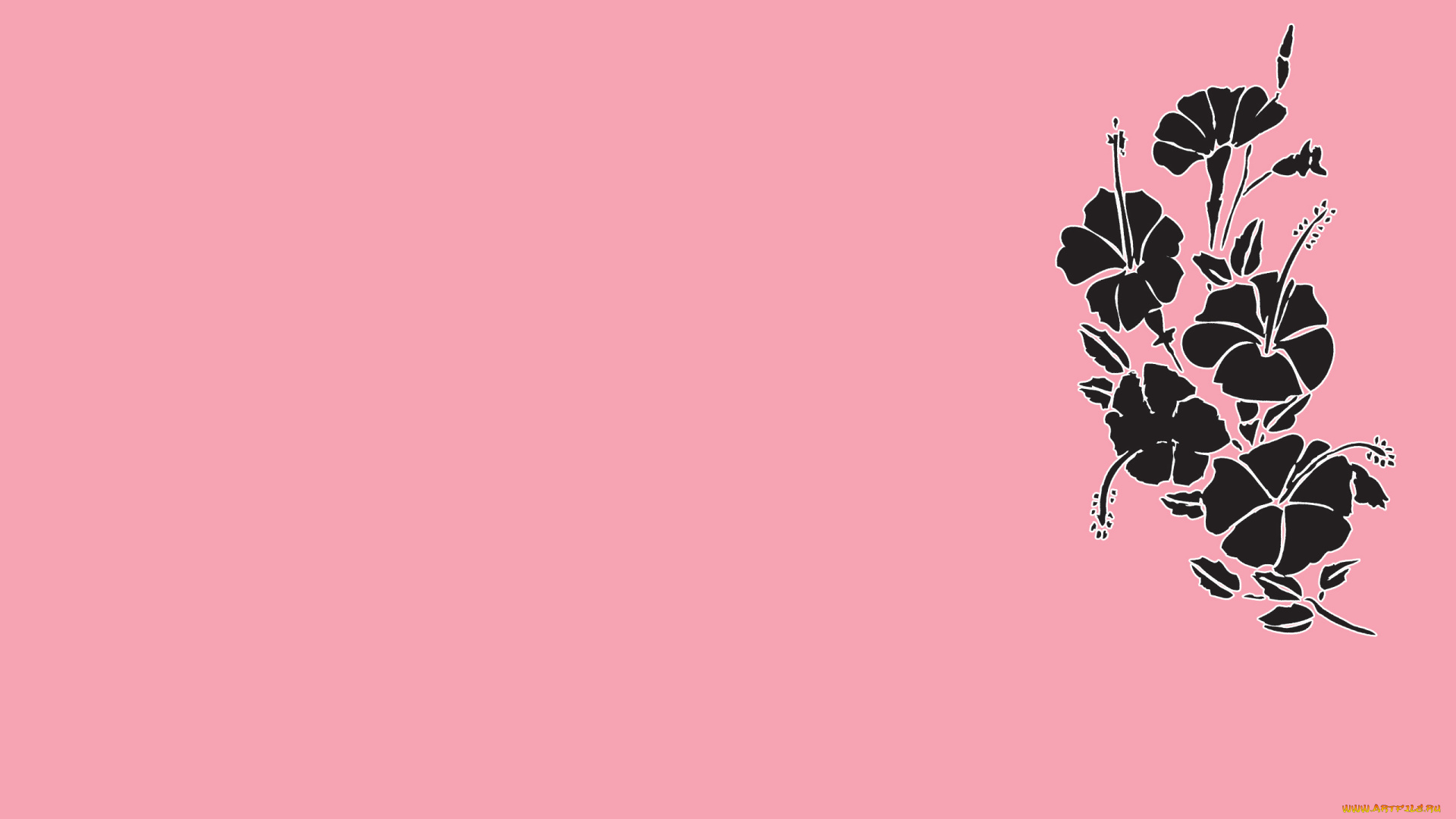 рисованные, минимализм, цветы