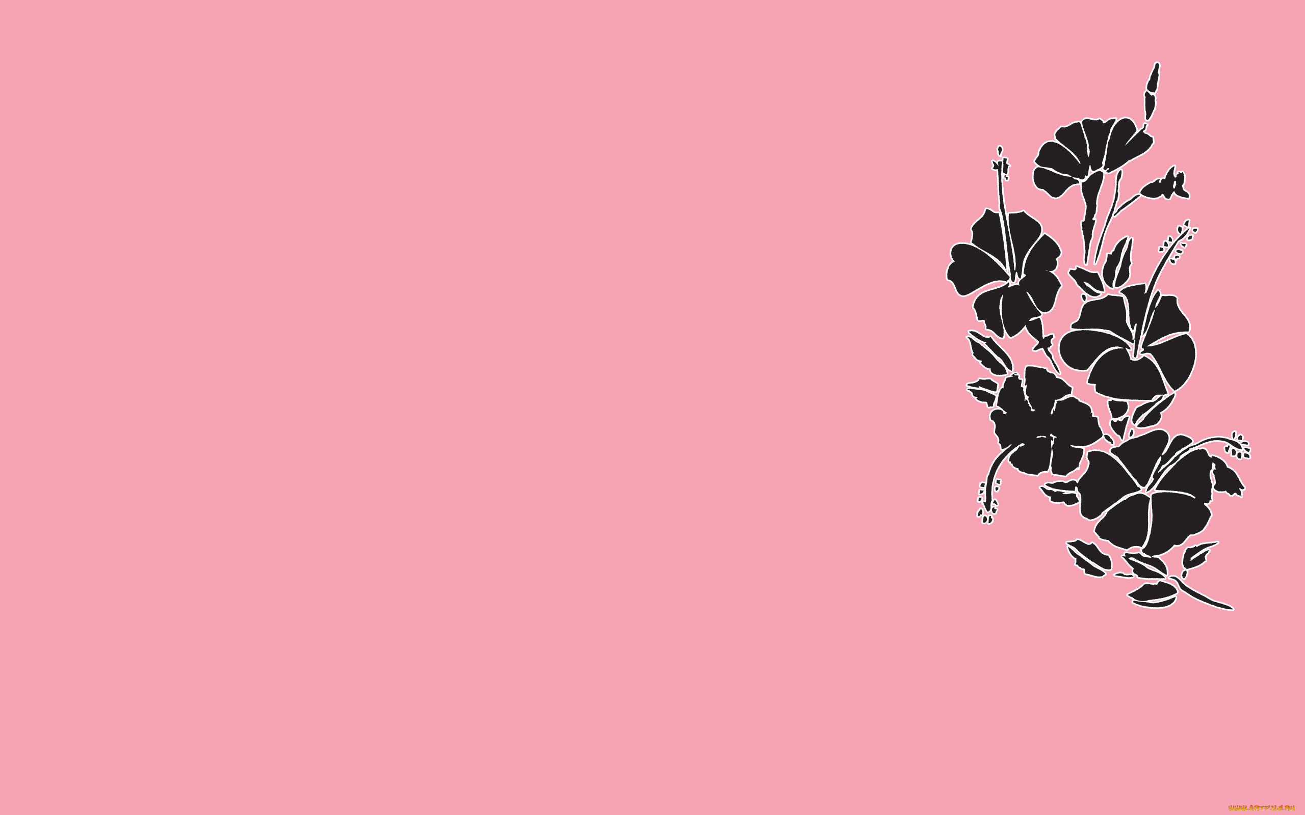 рисованные, минимализм, цветы