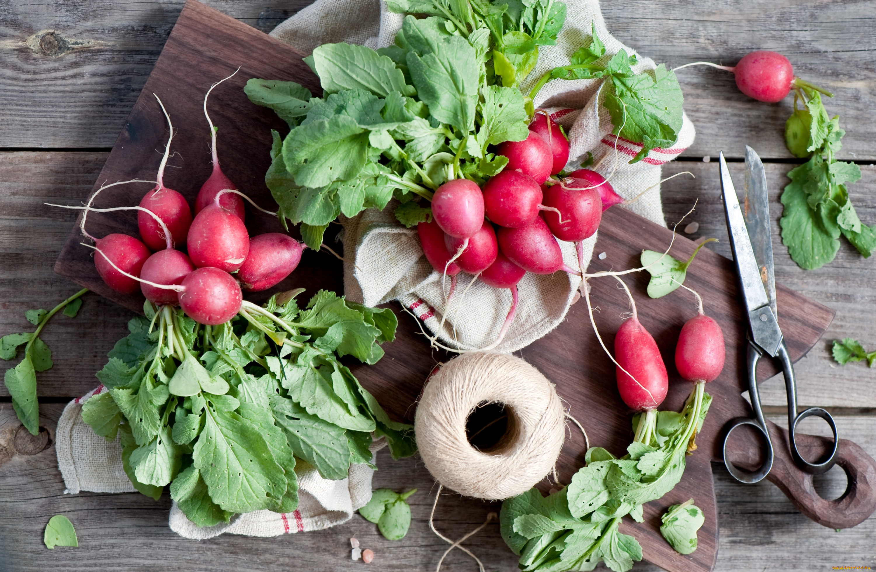 еда, редис, , репа, , редька, нитки, ножницы