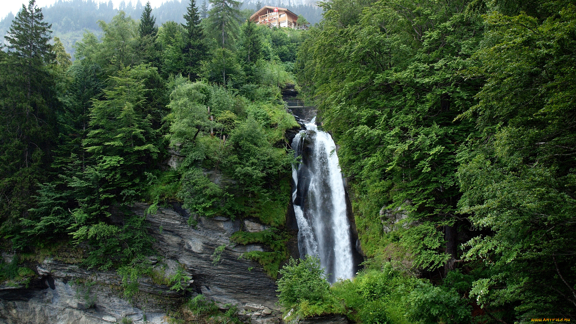природа, водопады, reichenbach, швейцария, switzerland, горы, небо, дом, деревья