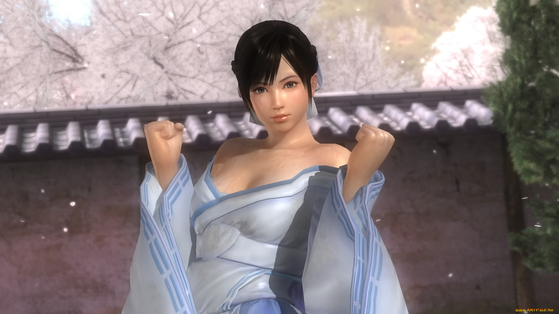 видео, игры, dead, or, alive, 5, поза, взгляд, фон, девушка