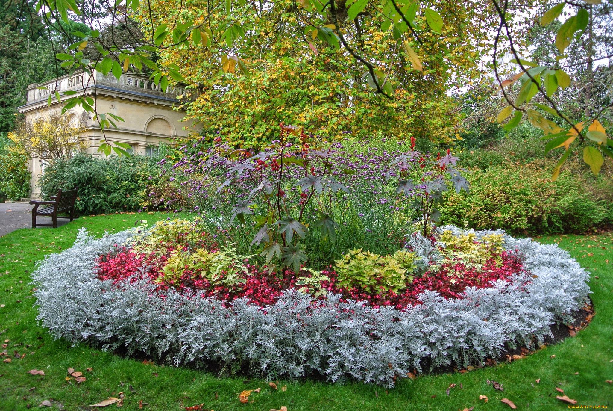 природа, парк, клумба, газон, цветы