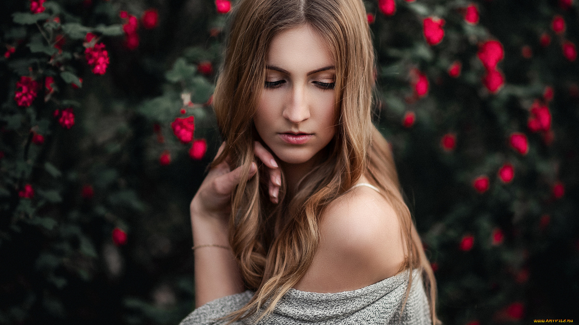 девушки, -unsort, , брюнетки, , шатенки, взгляд, лицо