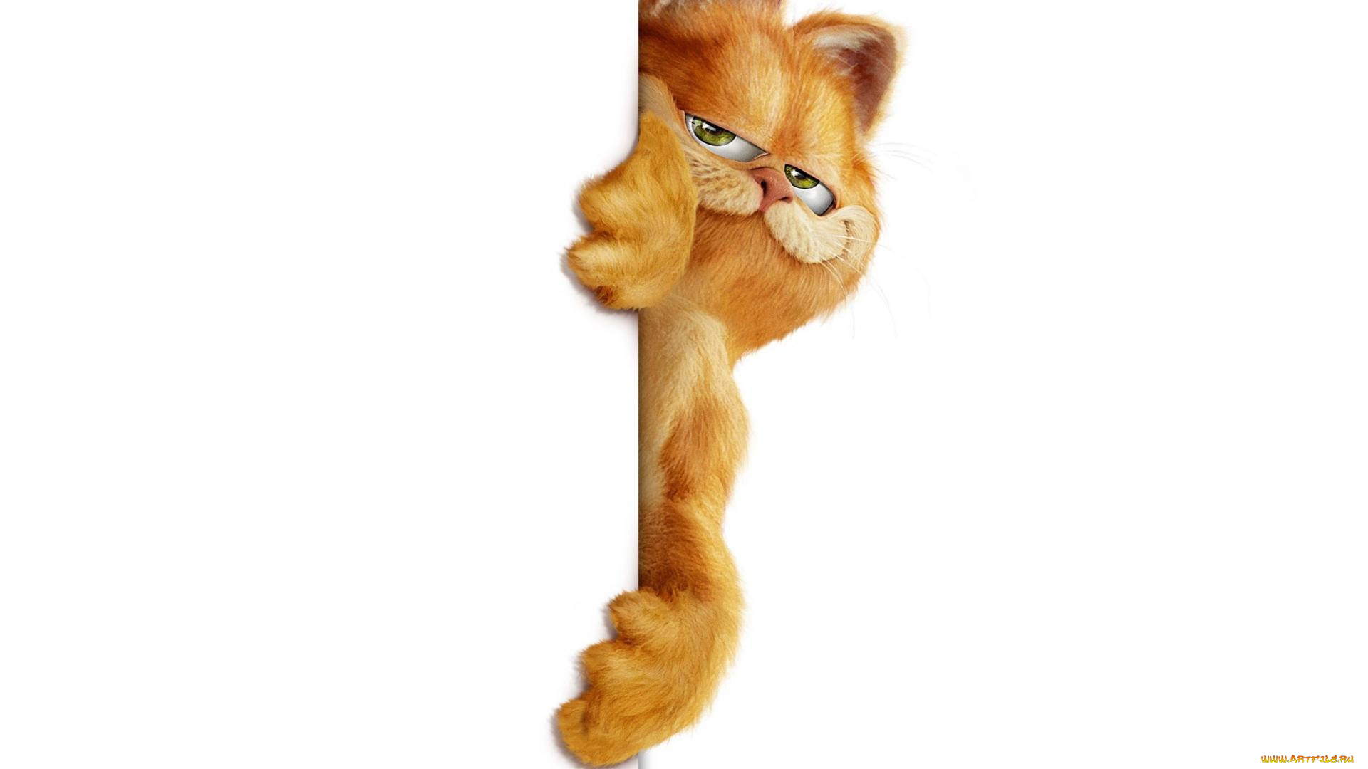 мультфильмы, garfield, кот