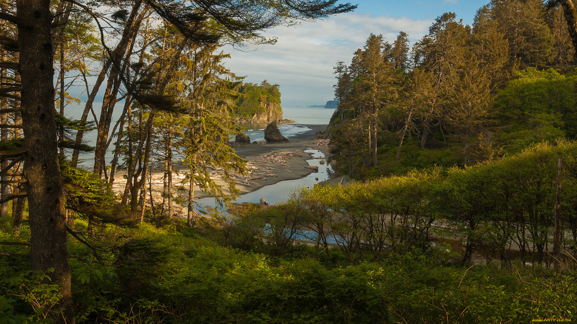 природа, побережье, берег, море