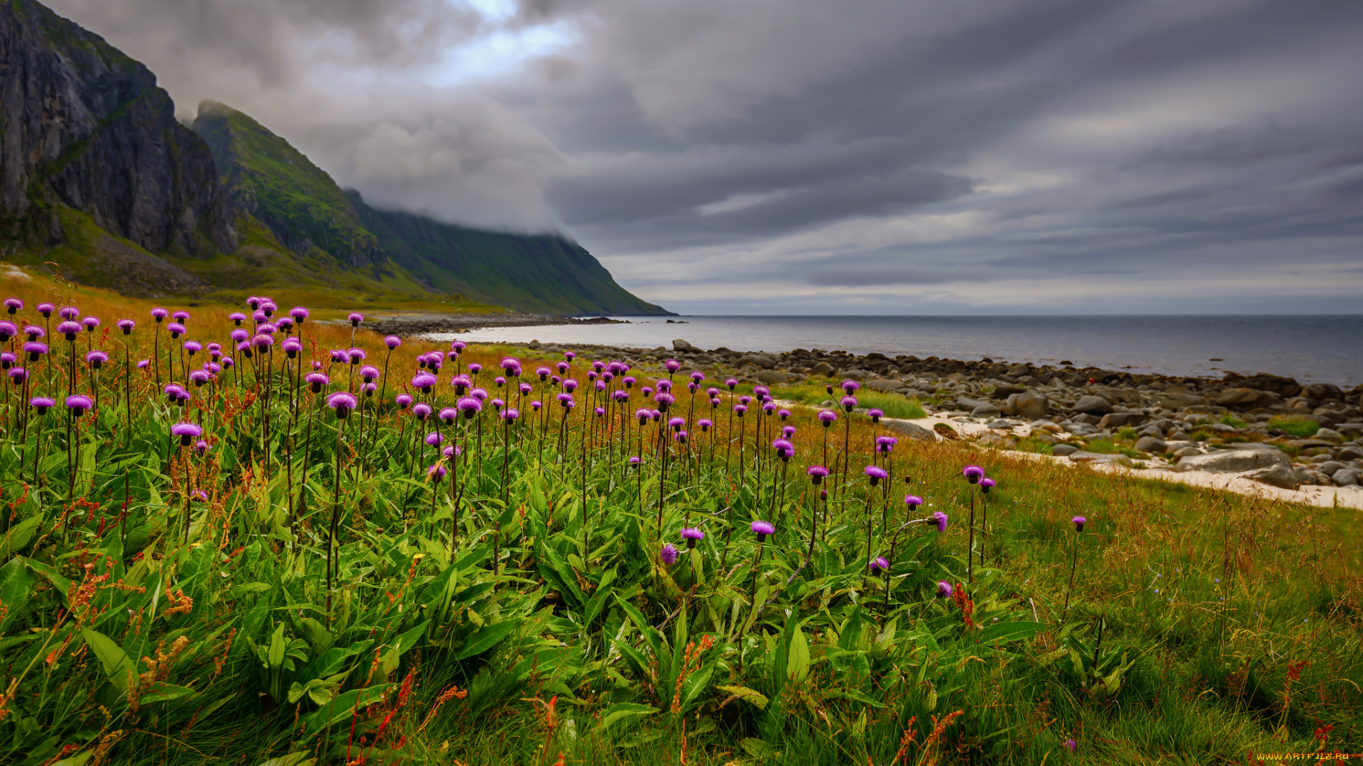 природа, побережье, берег, море