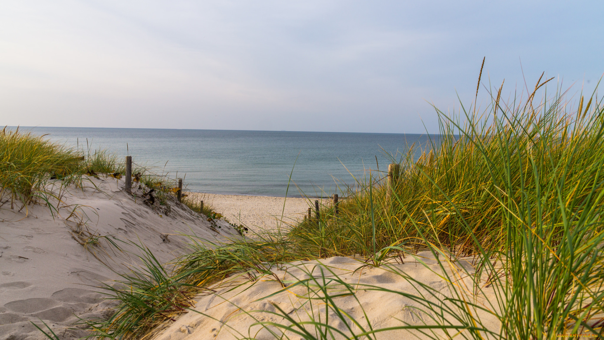 природа, побережье, море, берег