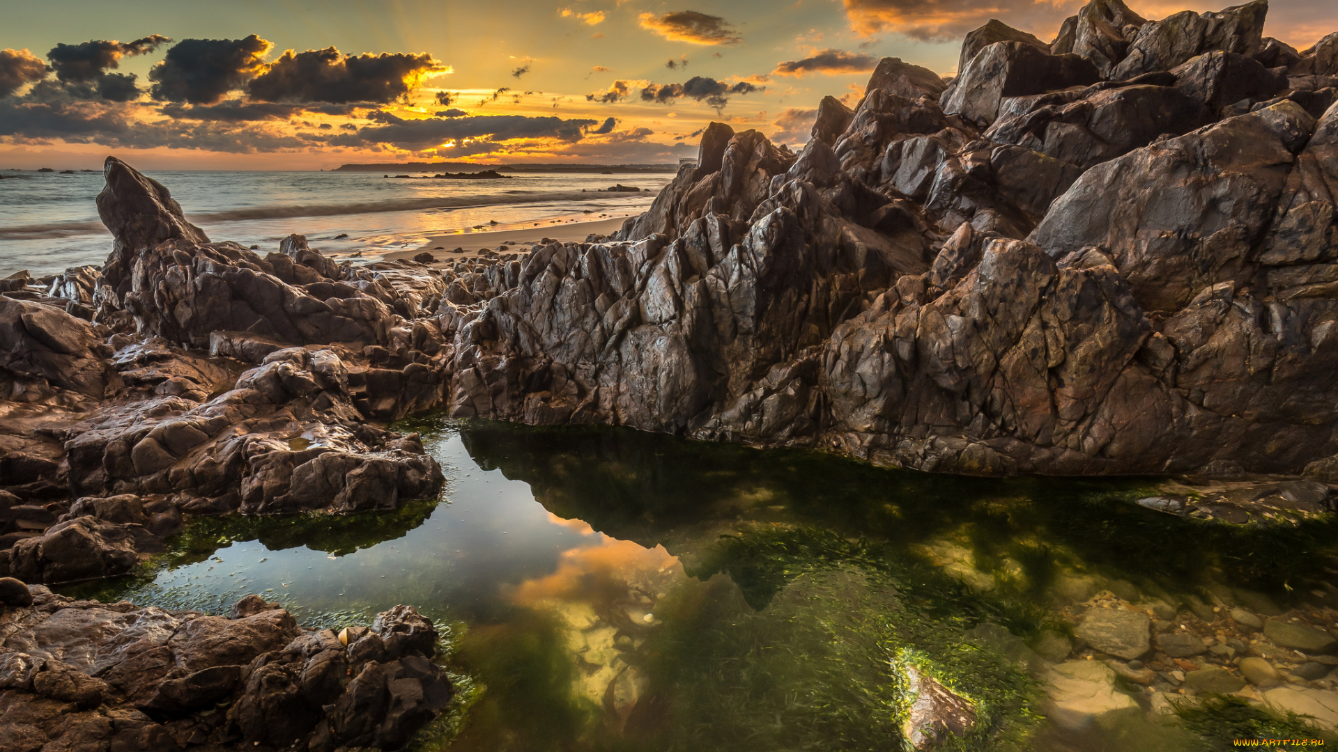 природа, побережье, море, берег