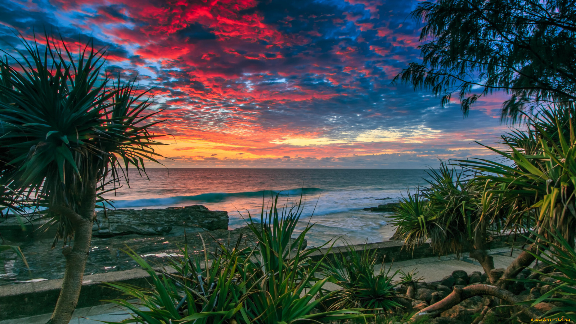 природа, побережье, море, берег