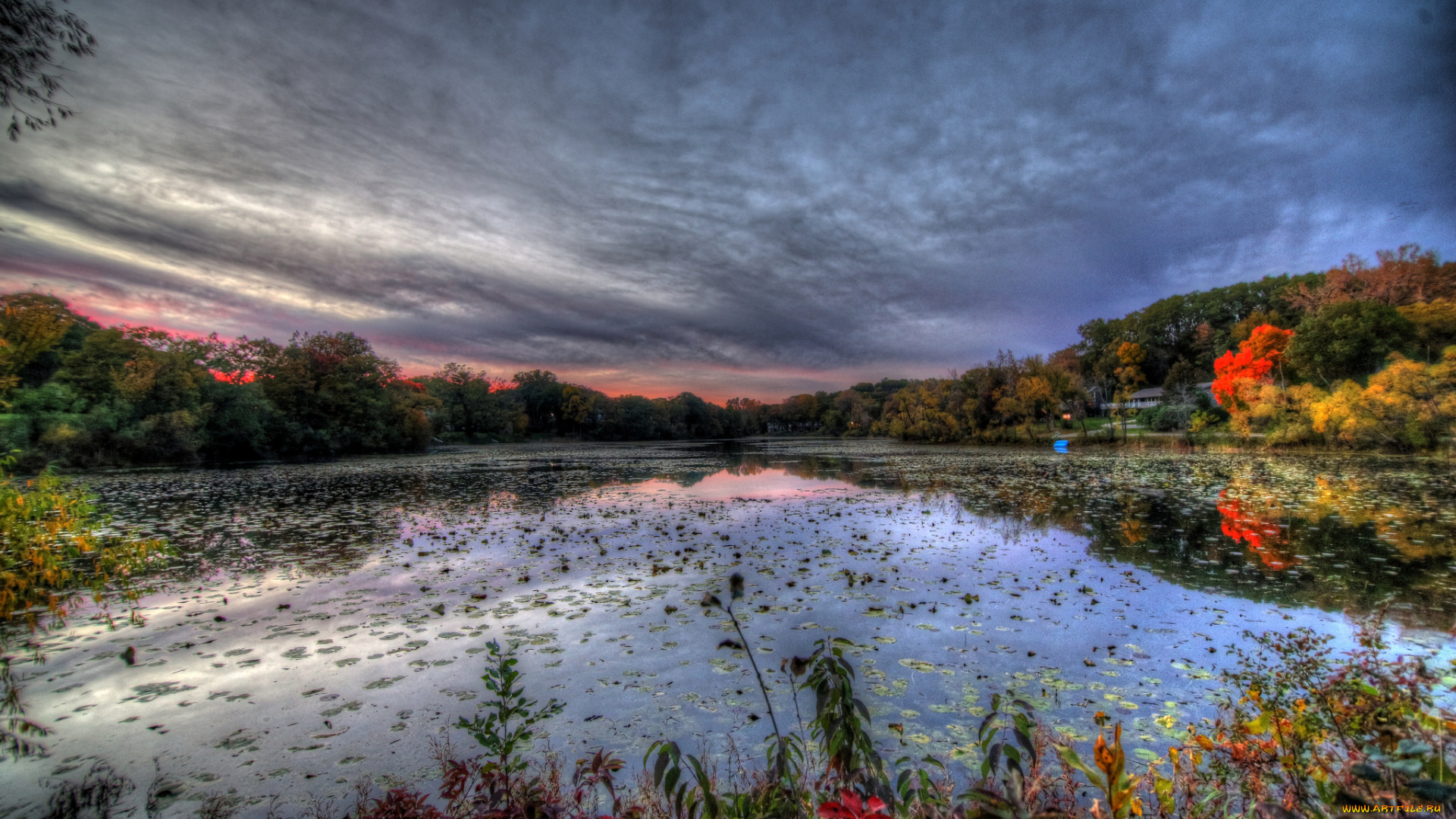 природа, реки, озера, лес, река