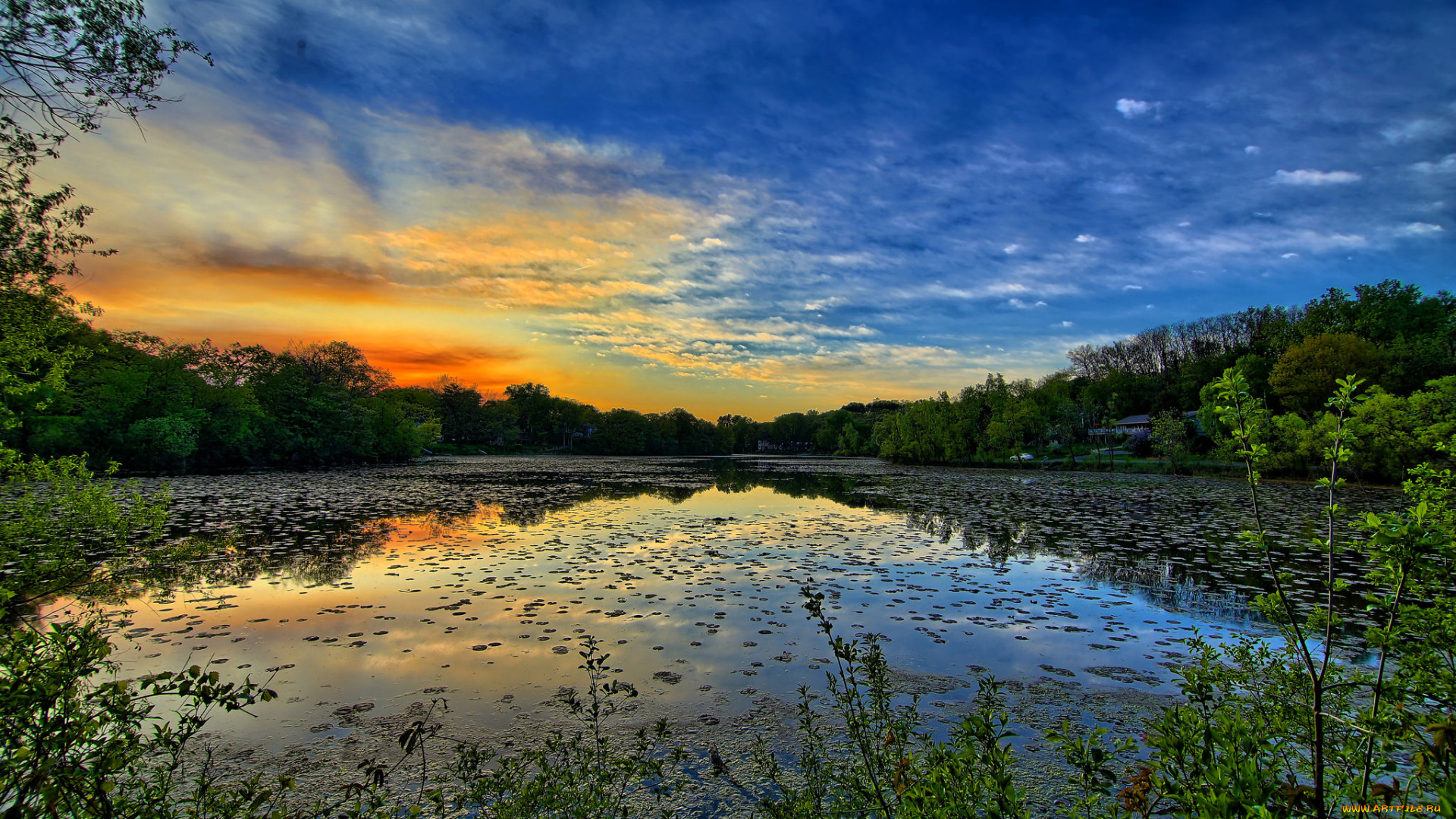 природа, реки, озера, река, лес