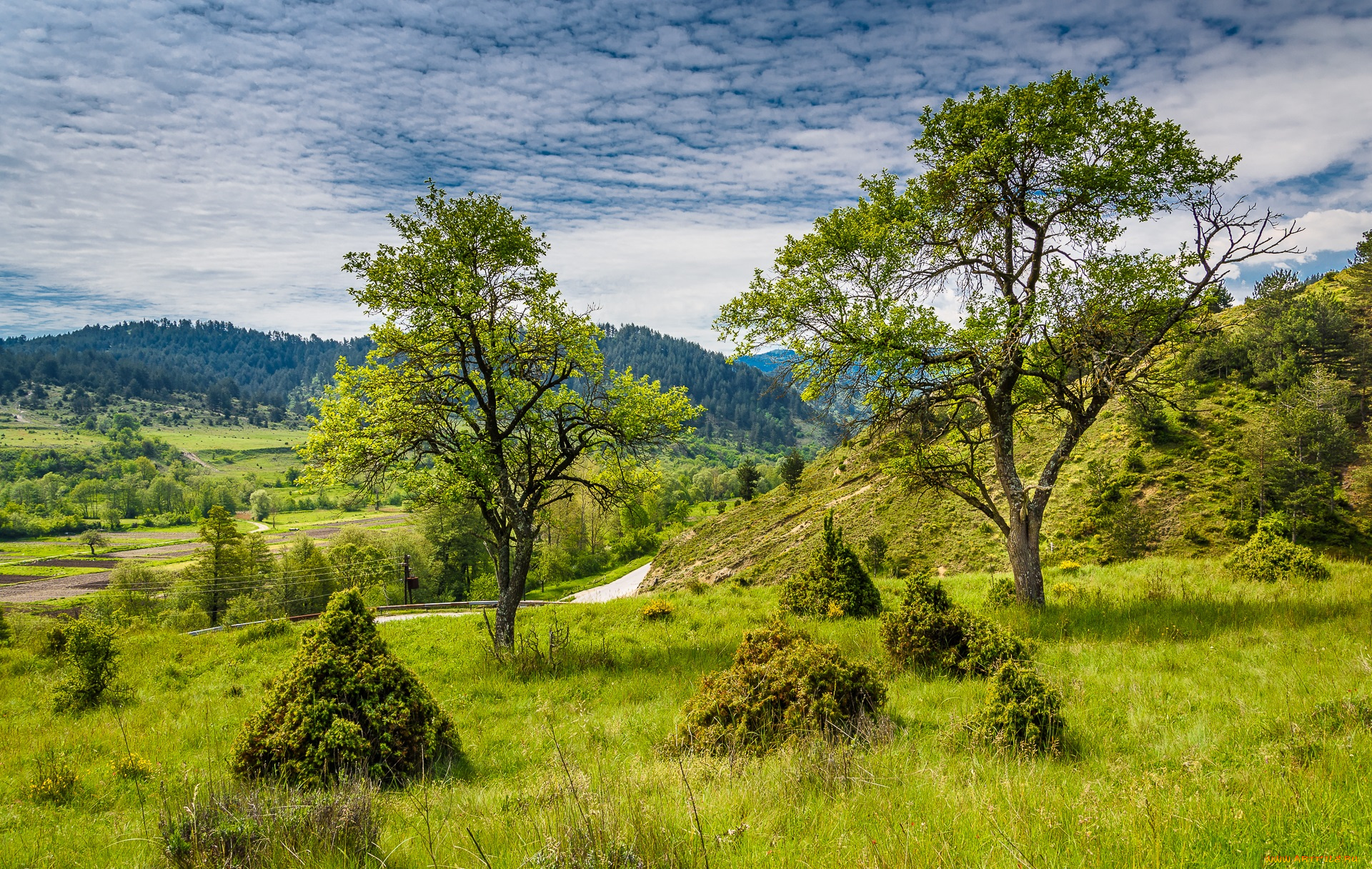 природа, пейзажи, холмы, растительность
