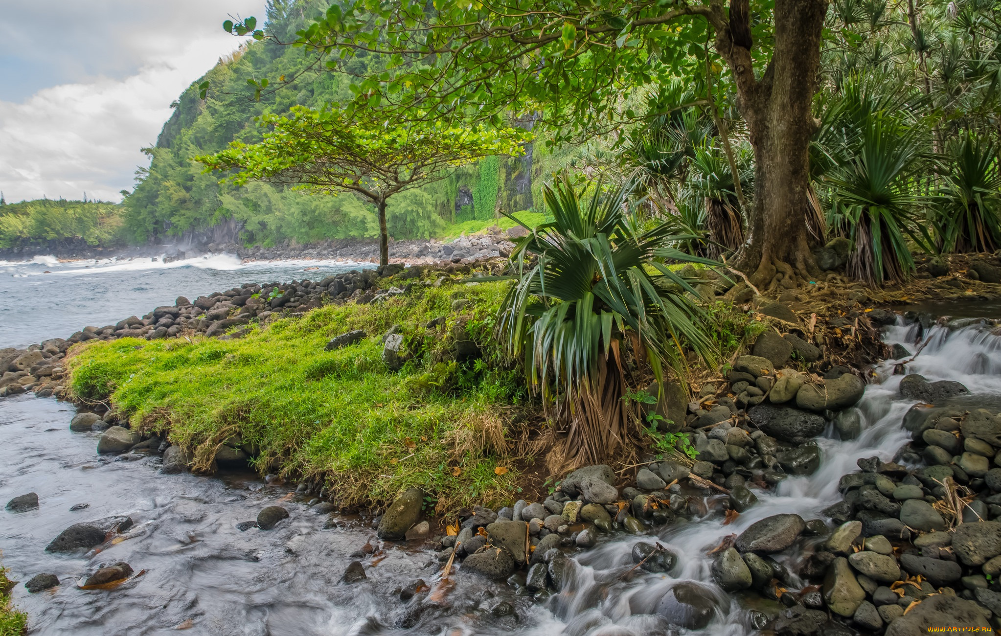 природа, побережье, море, берег