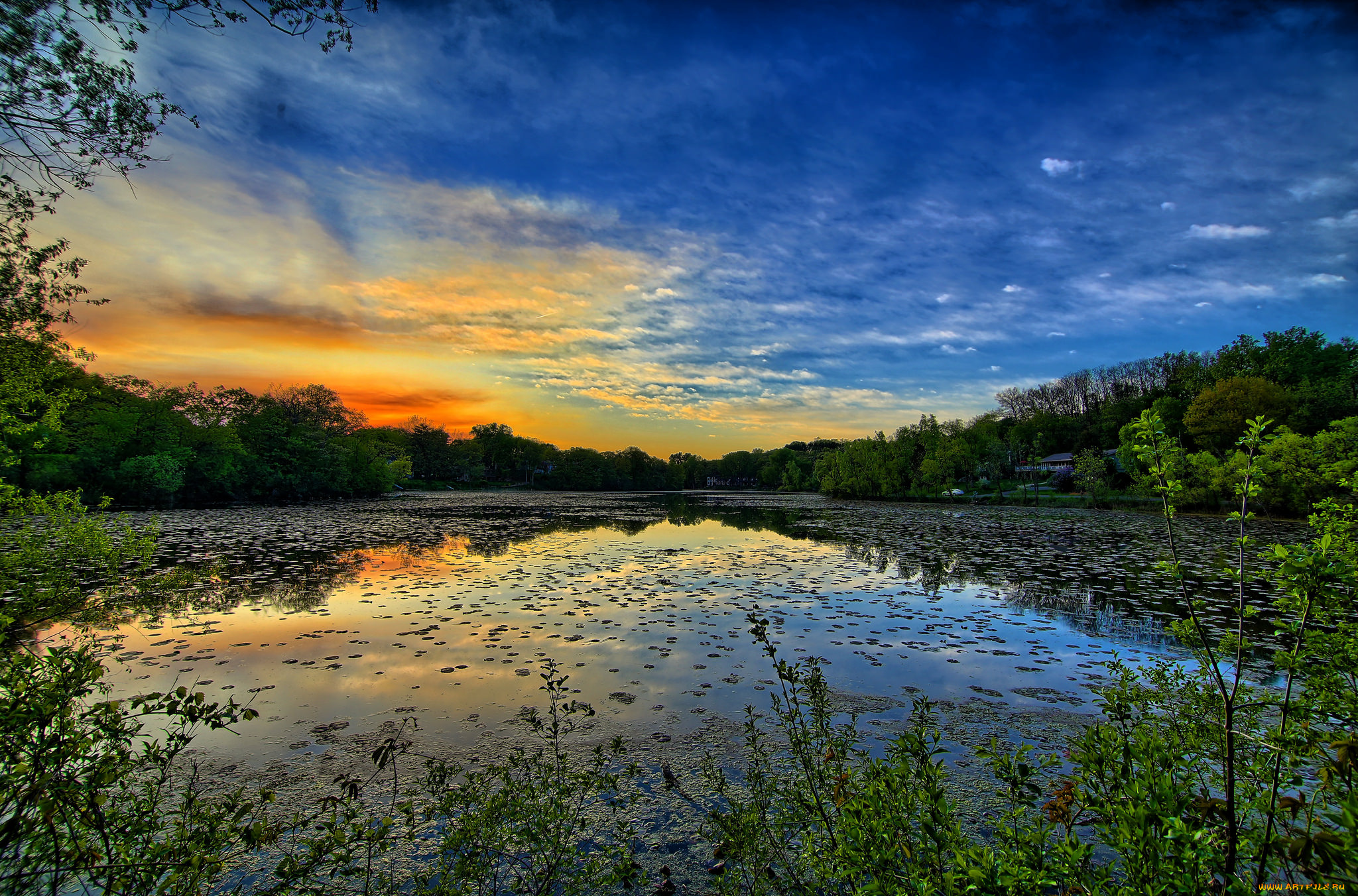 природа, реки, озера, река, лес