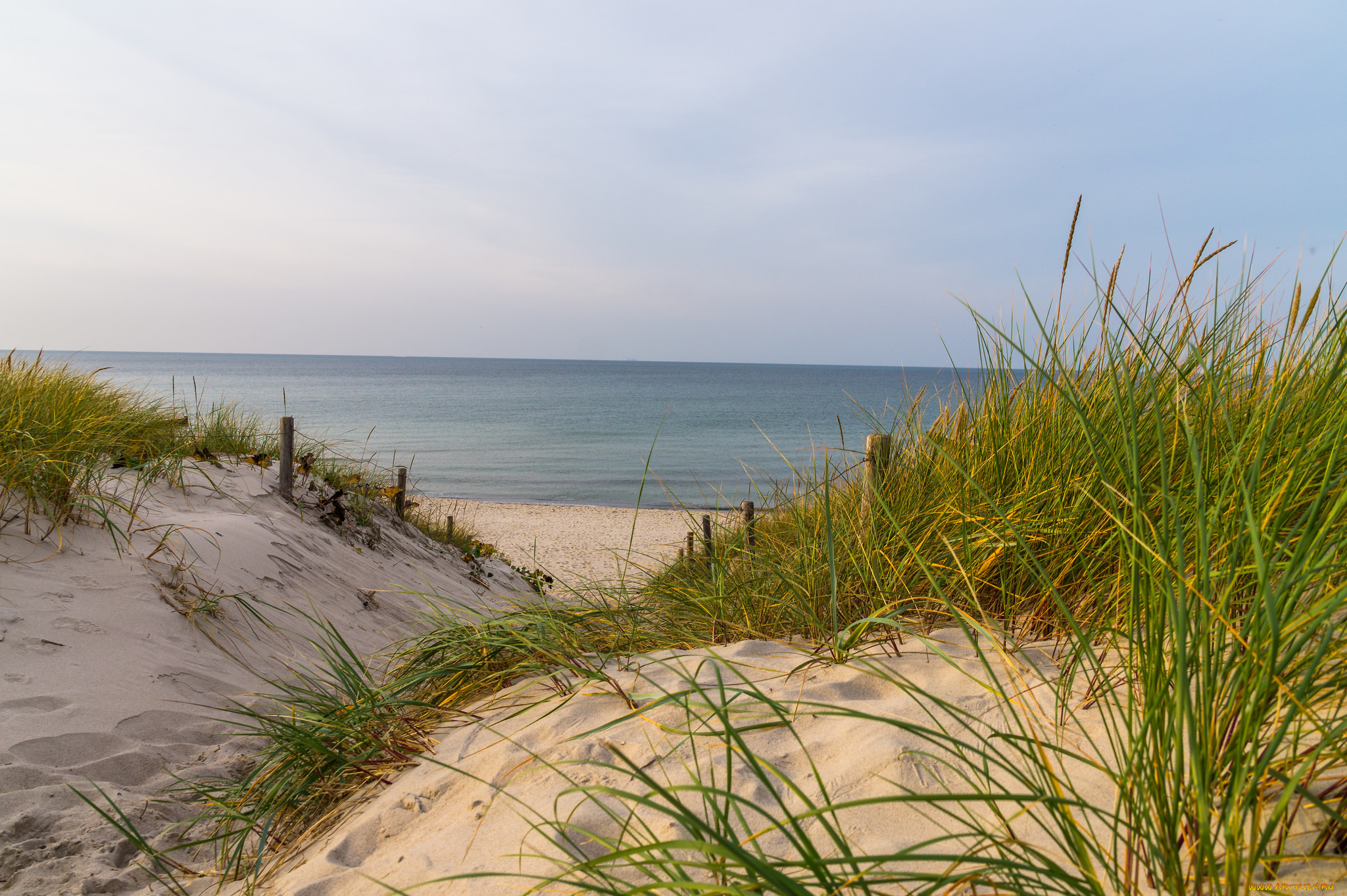 природа, побережье, море, берег