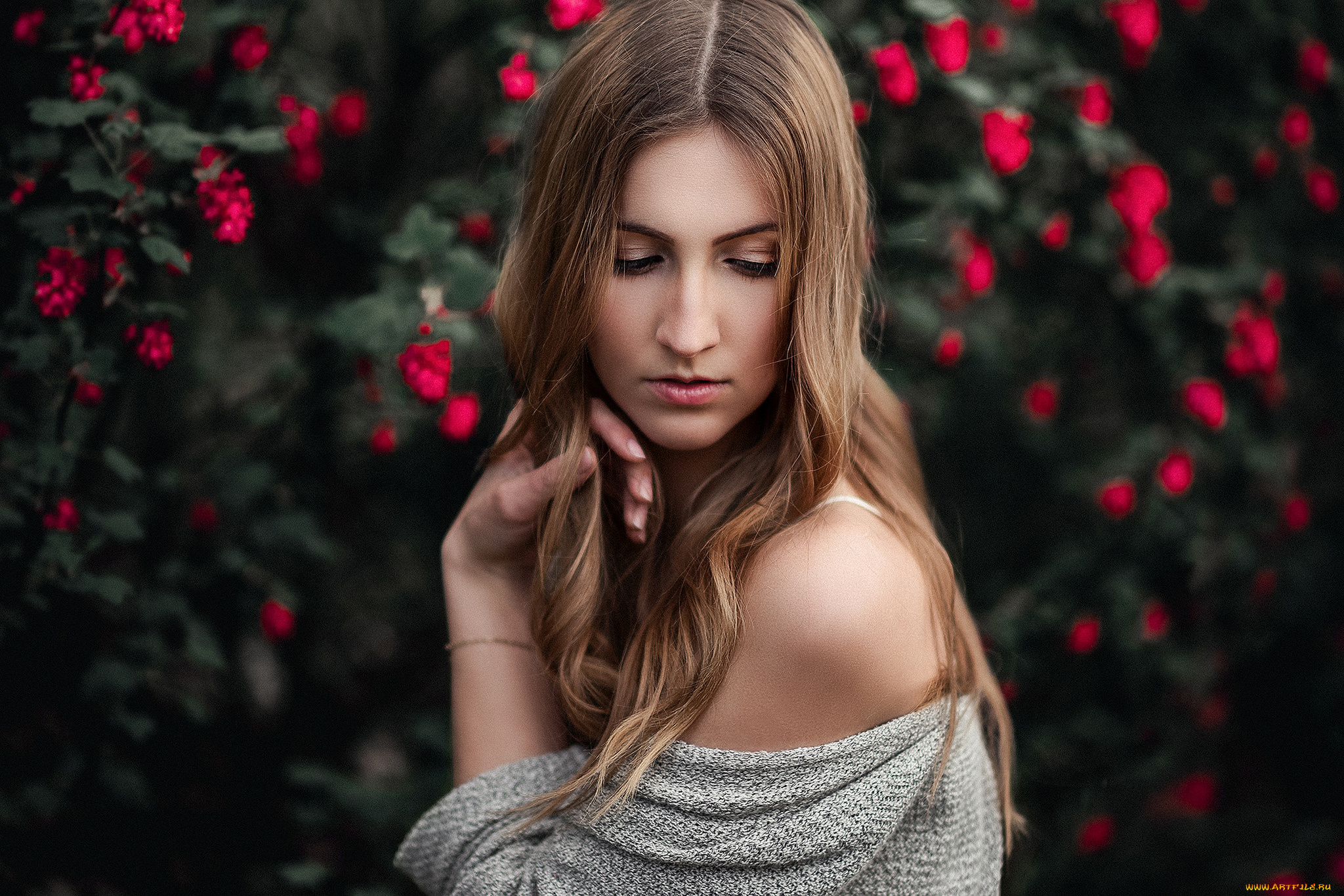 девушки, -unsort, , брюнетки, , шатенки, взгляд, лицо