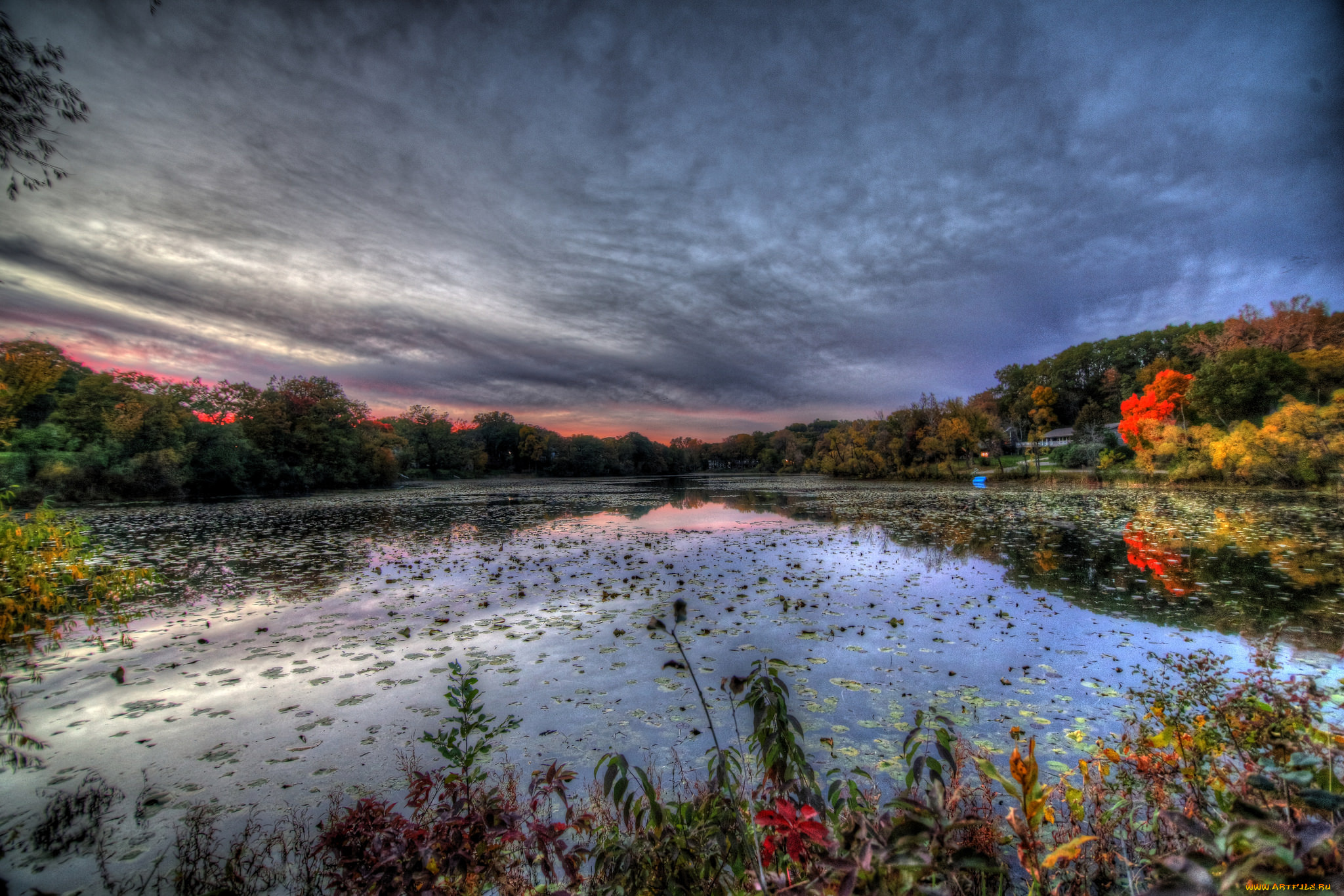 природа, реки, озера, лес, река