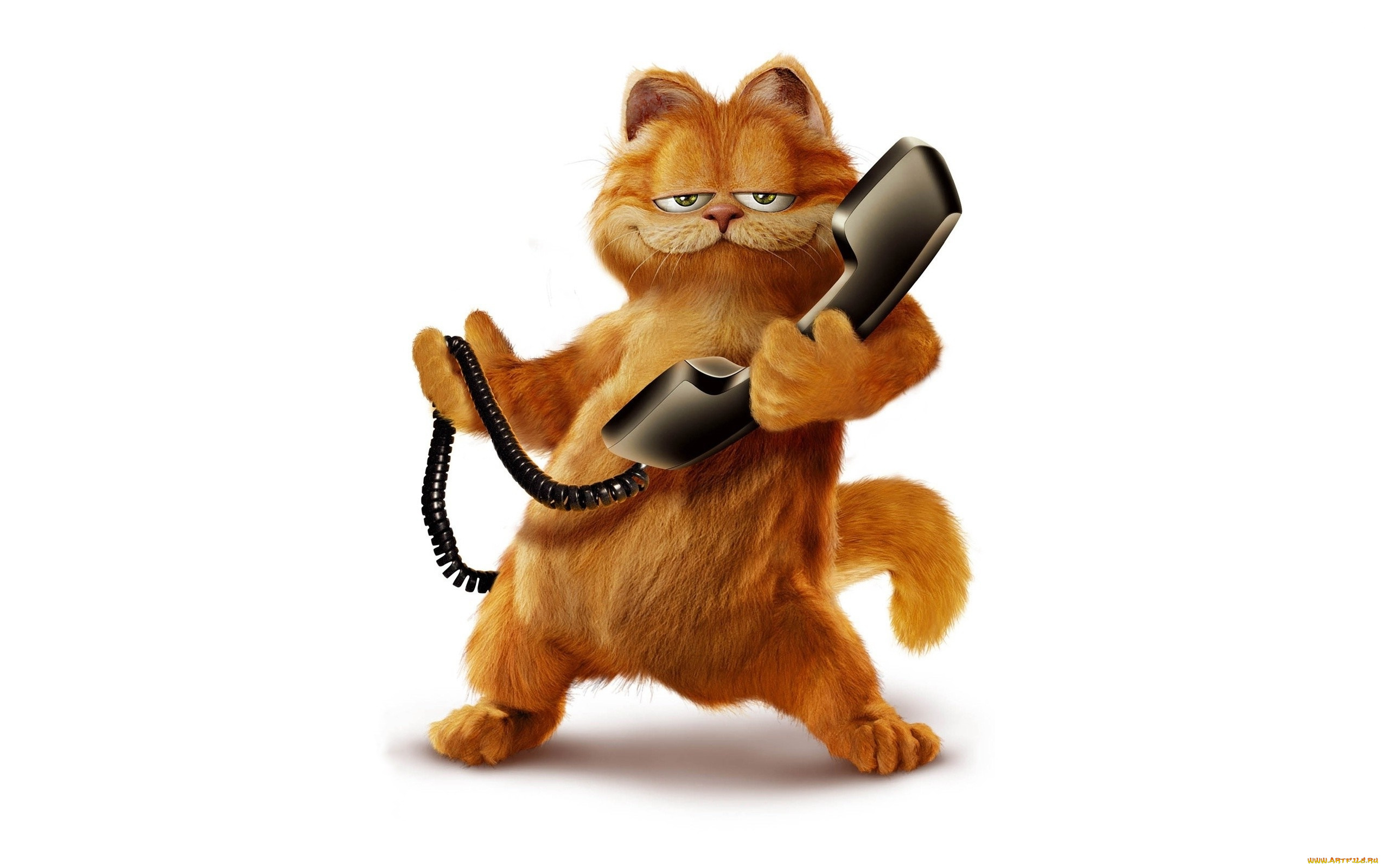 мультфильмы, garfield, кот