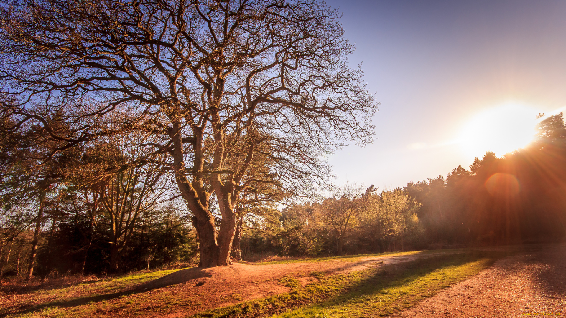 природа, восходы, закаты, рассвет