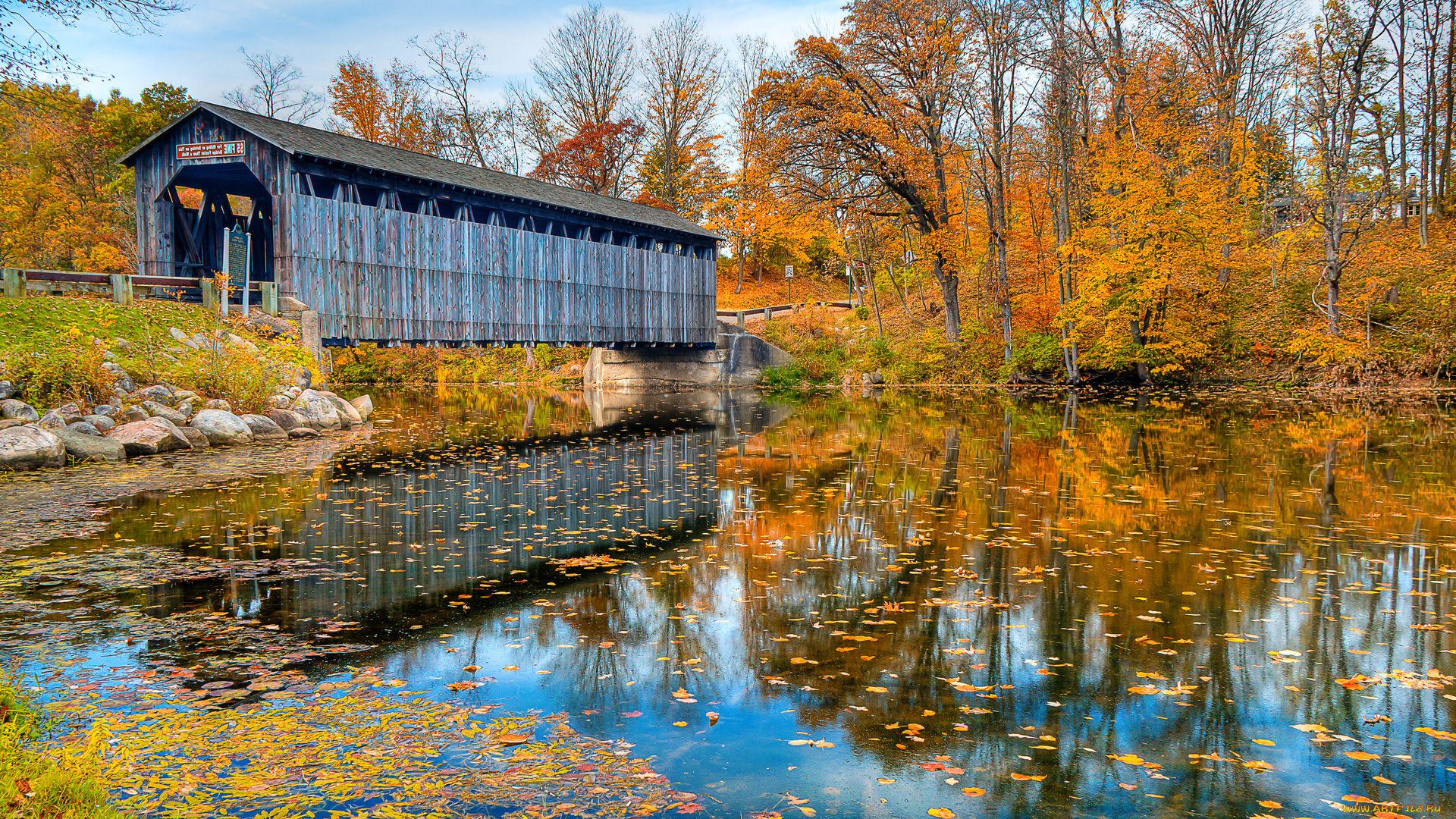 природа, лес, река, мост, деревья, пейзаж