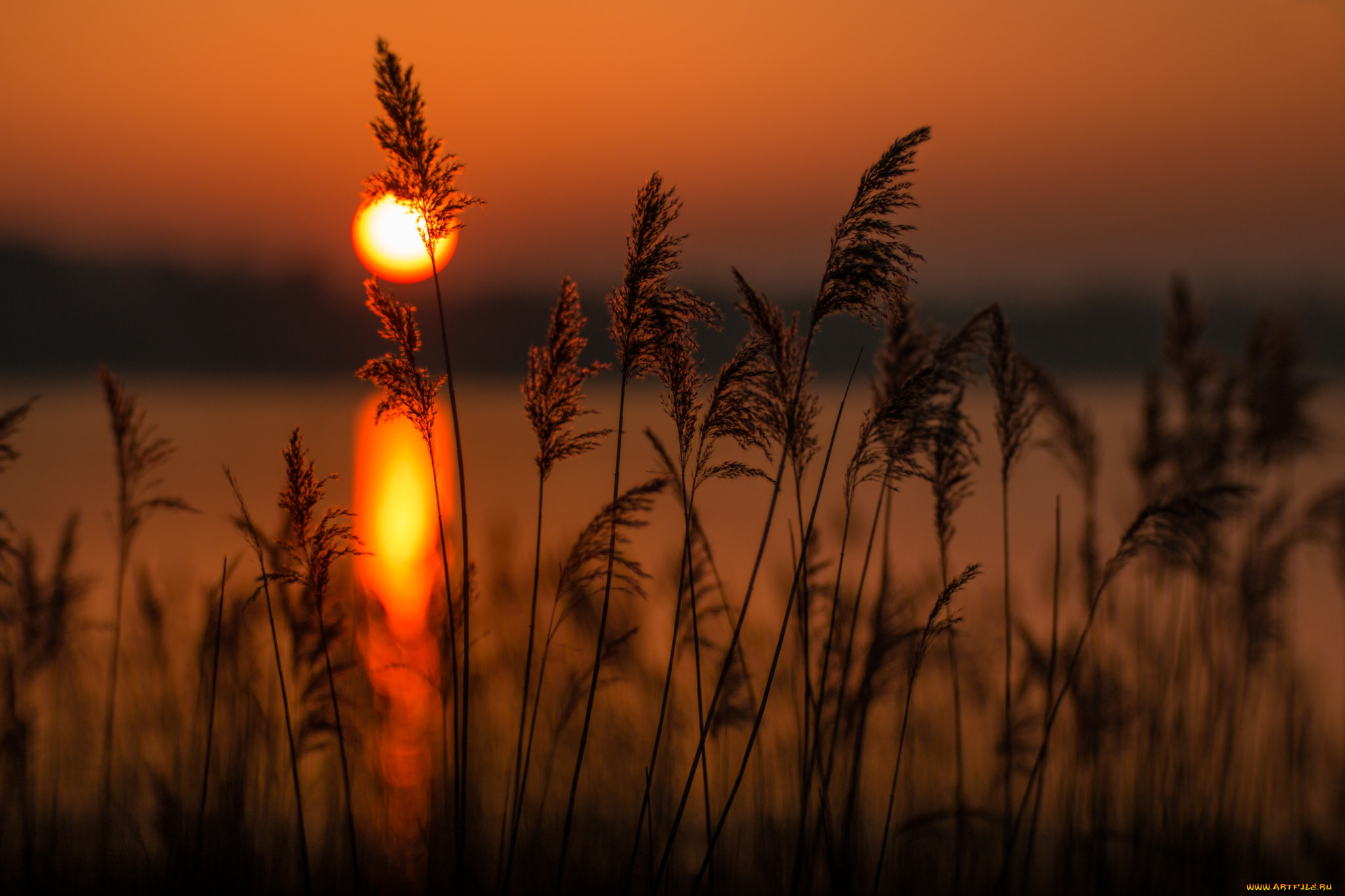 природа, восходы, закаты, простор