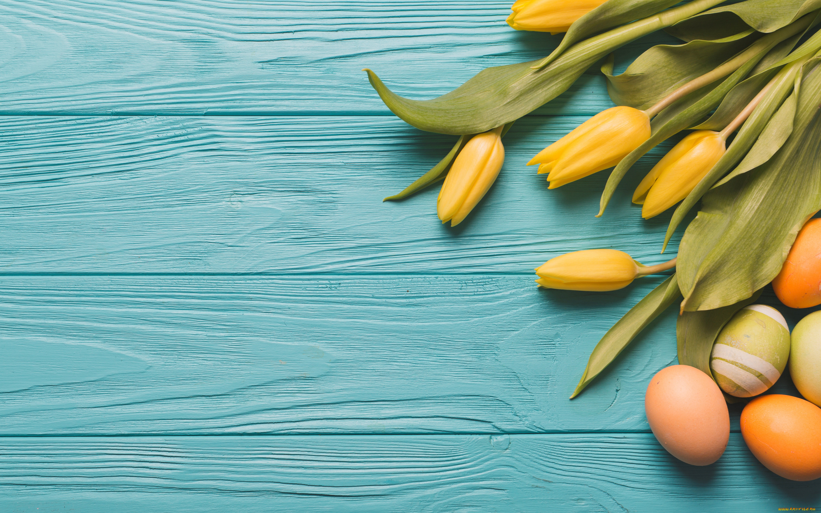 праздничные, пасха, тюльпаны