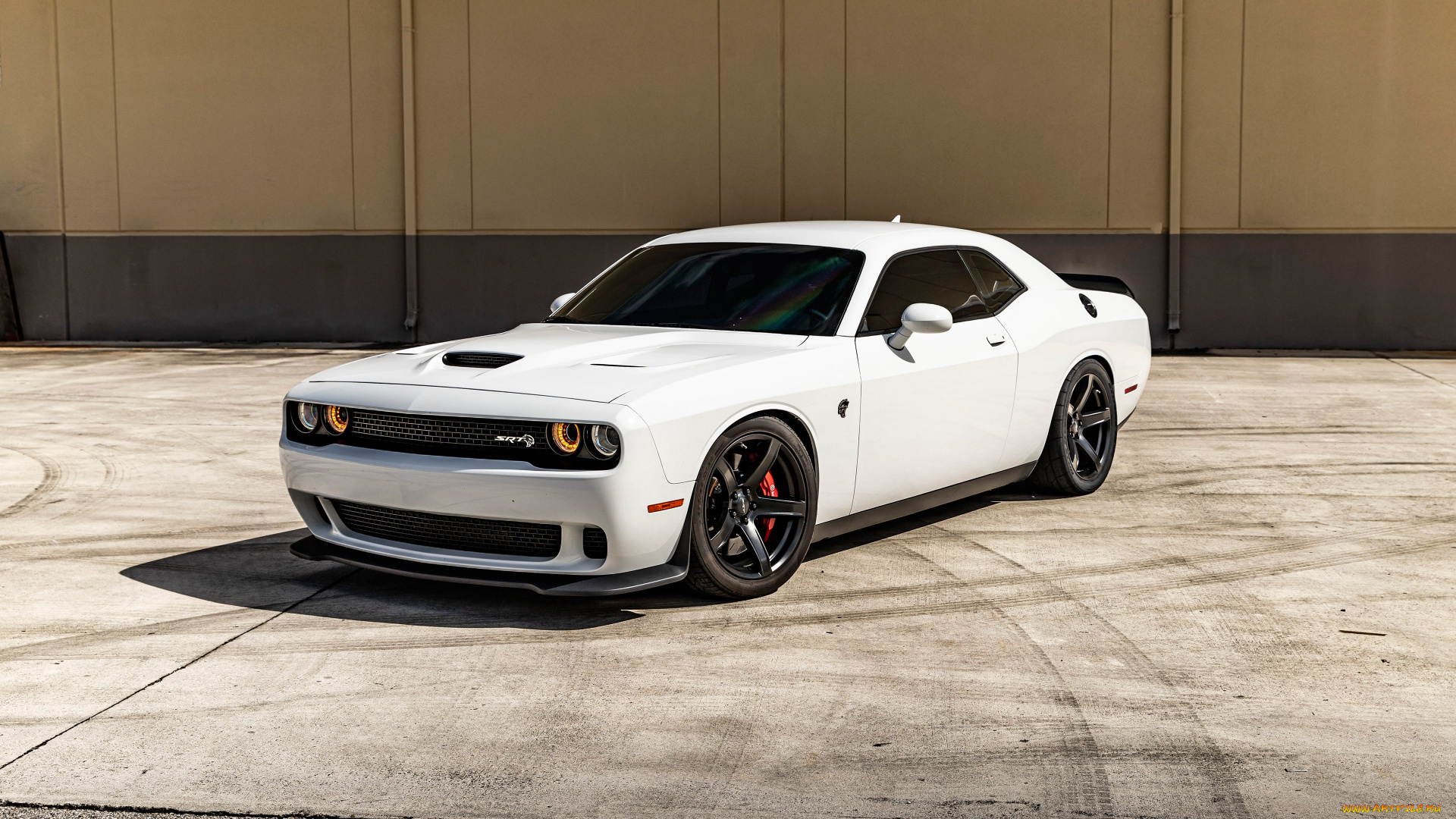 автомобили, dodge, challenger