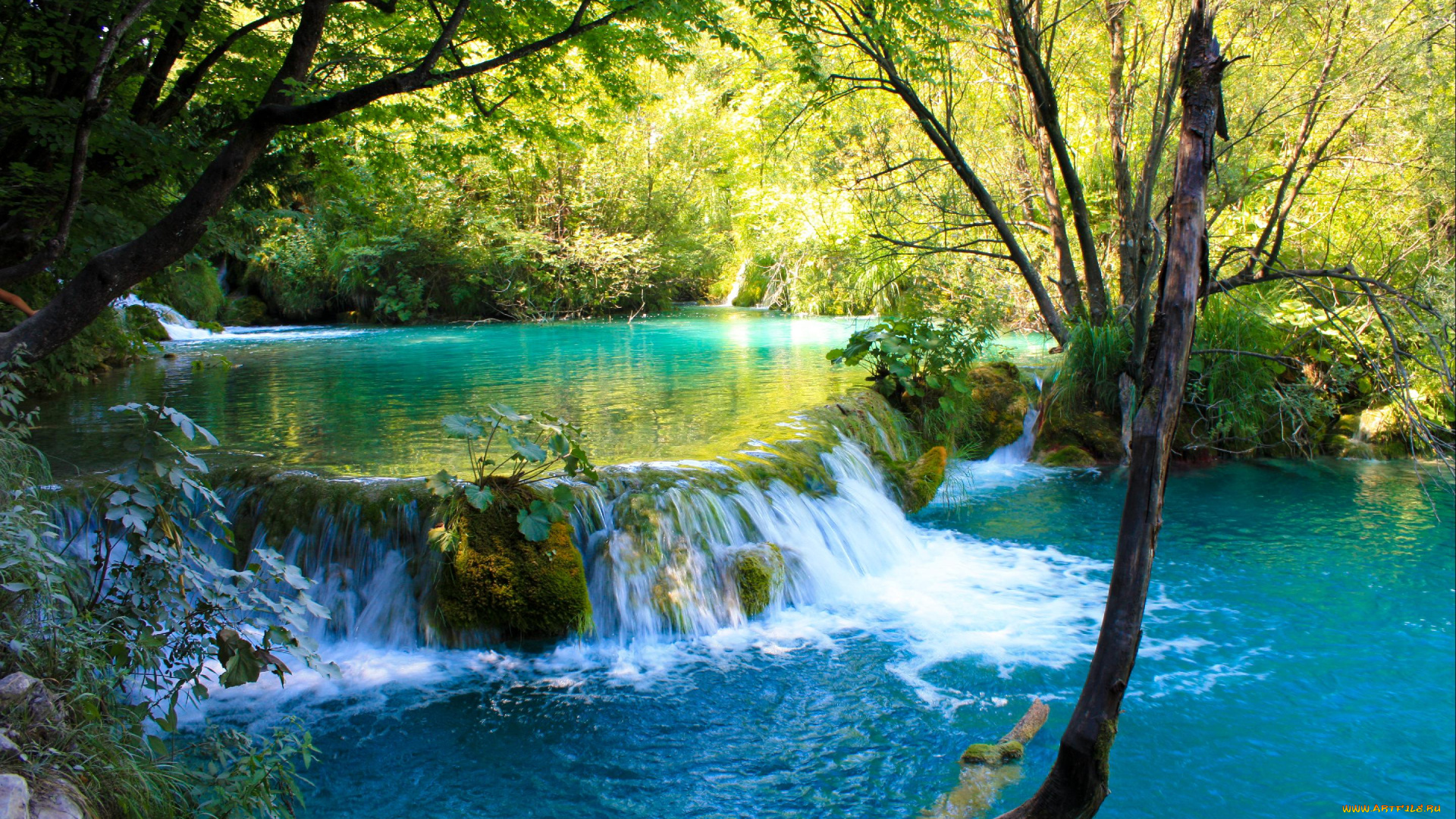 природа, водопады, лес, каскад, водопад, река, озера