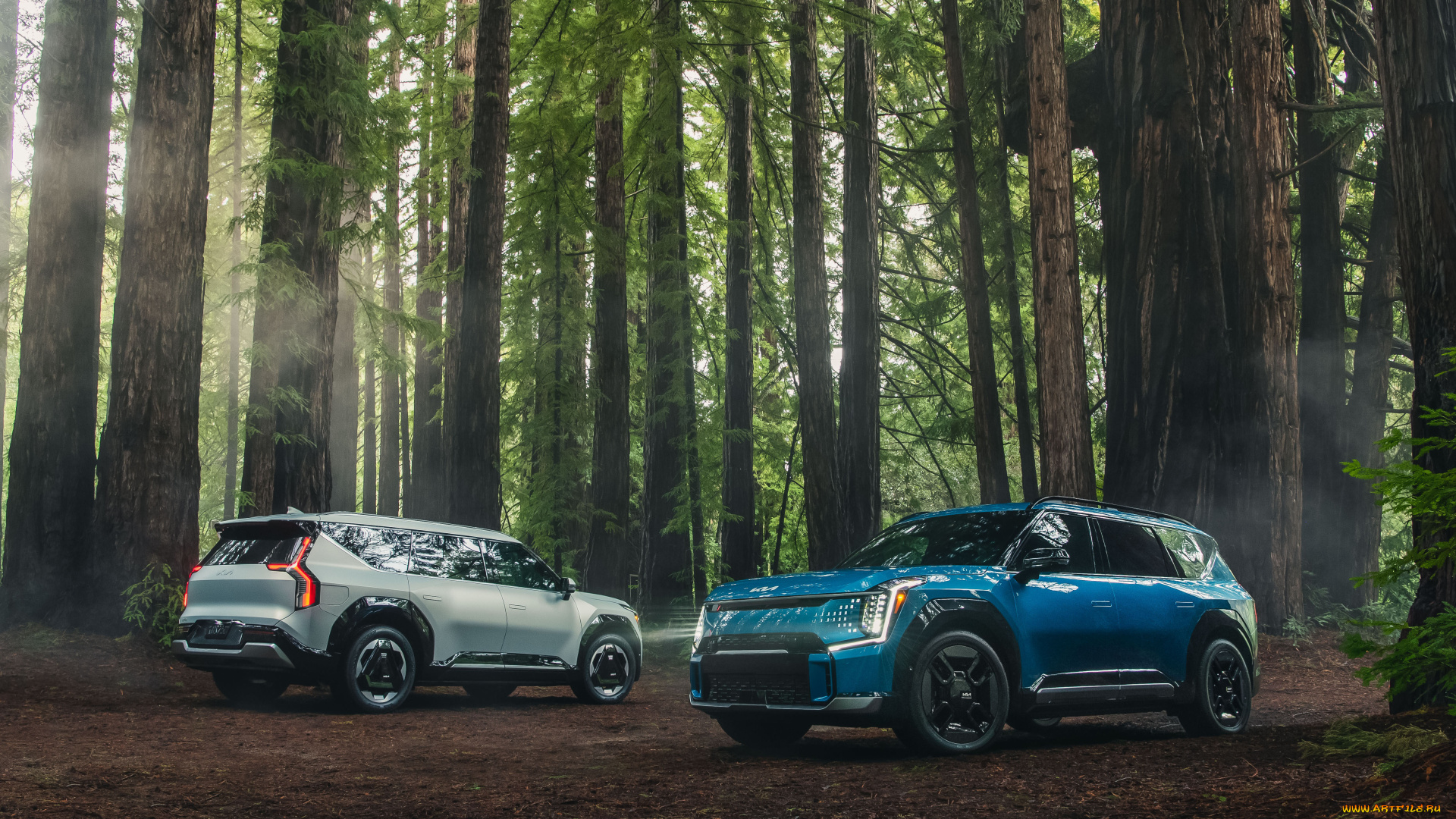 автомобили, kia