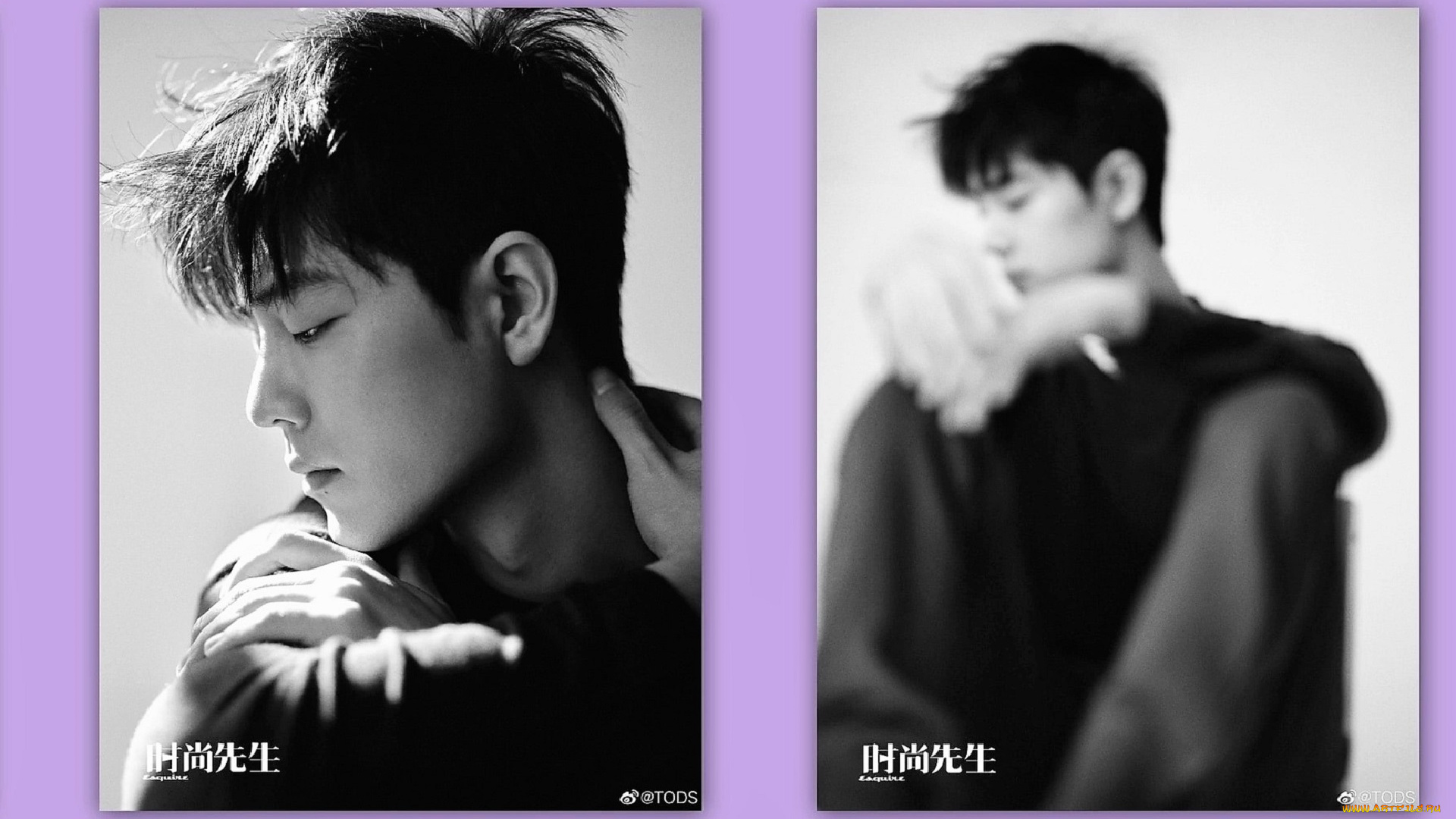 мужчины, xiao, zhan, актер, лицо