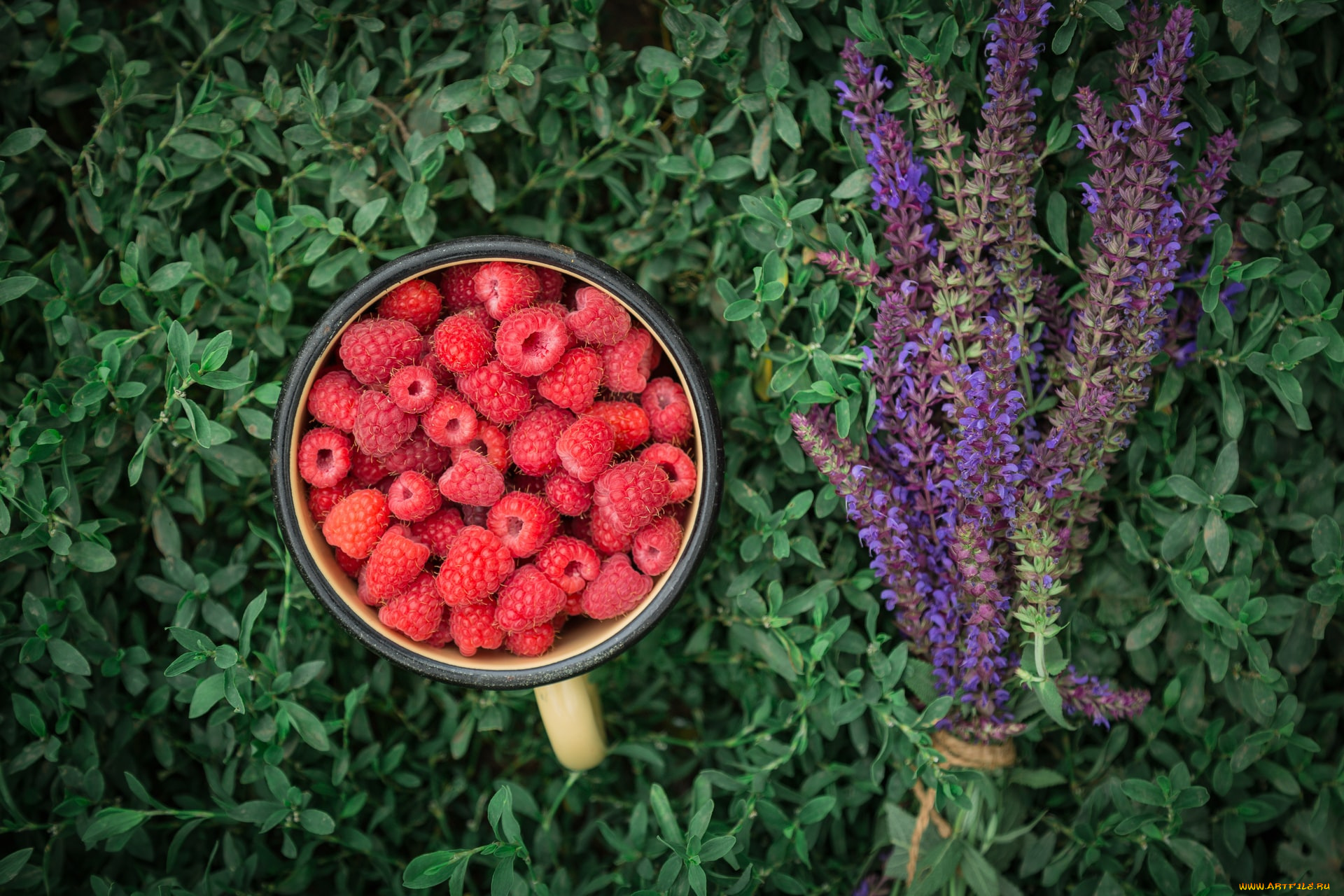 еда, малина, ягоды, спелая