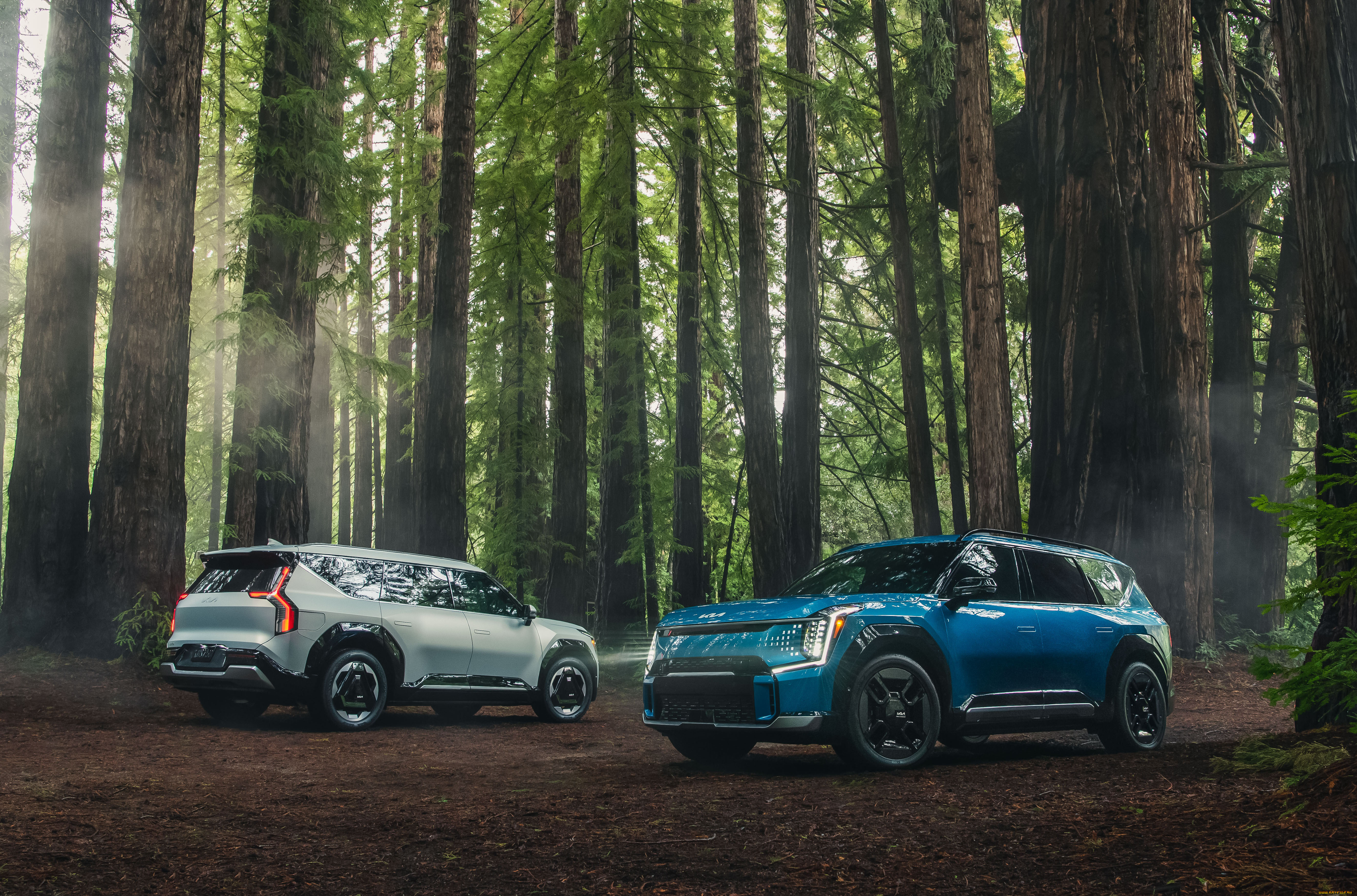 автомобили, kia