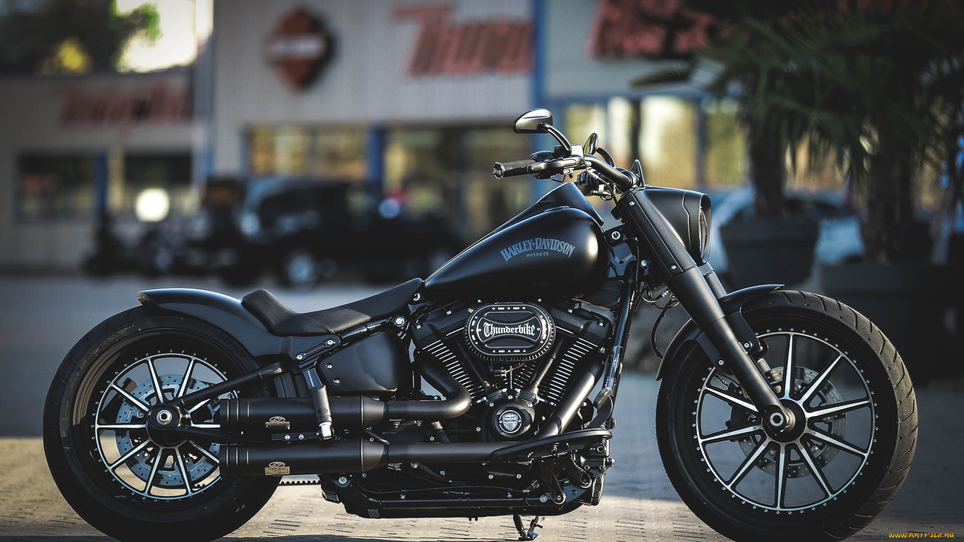 харлей, мотоциклы, harley-davidson, мотоцикл, байк, чёрный, thunderbike, customs