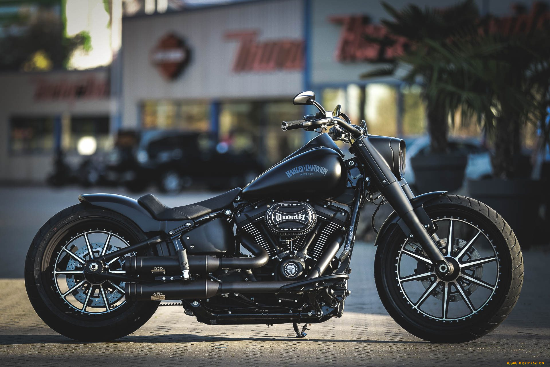 харлей, мотоциклы, harley-davidson, мотоцикл, байк, чёрный, thunderbike, customs