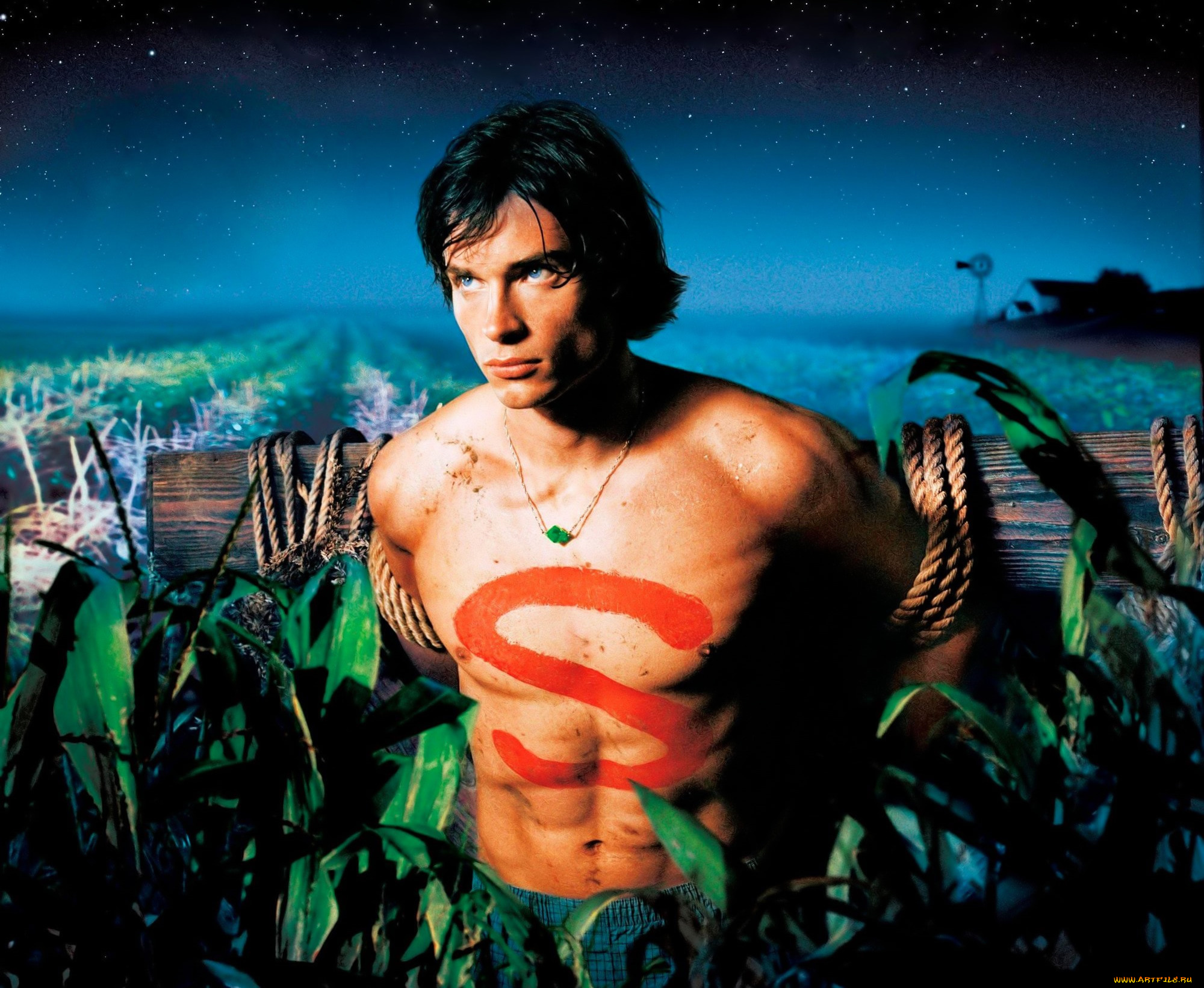 кино, фильмы, smallville, кларк, поле, веревки
