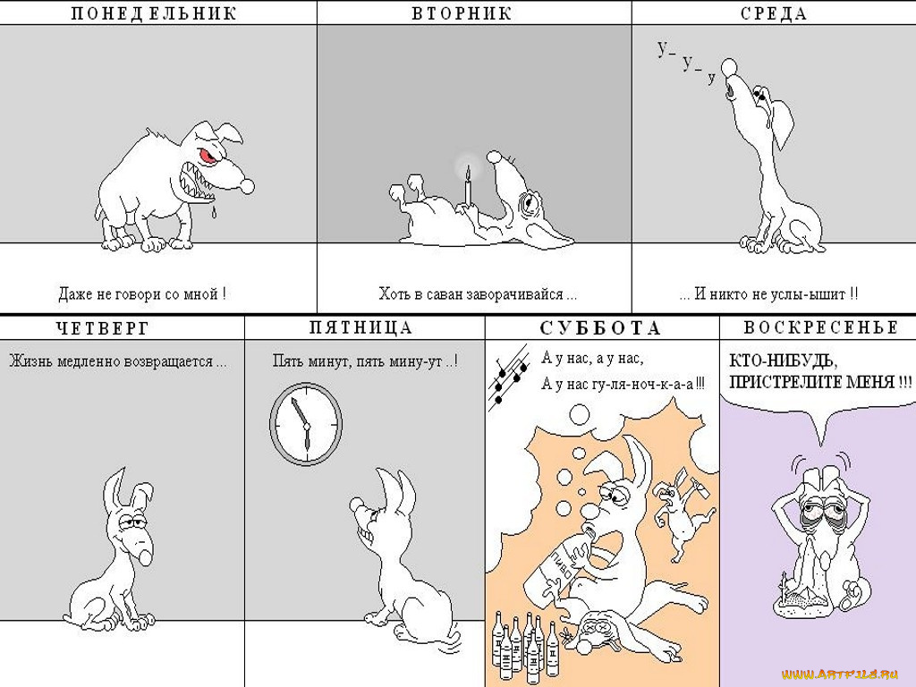 юмор, приколы