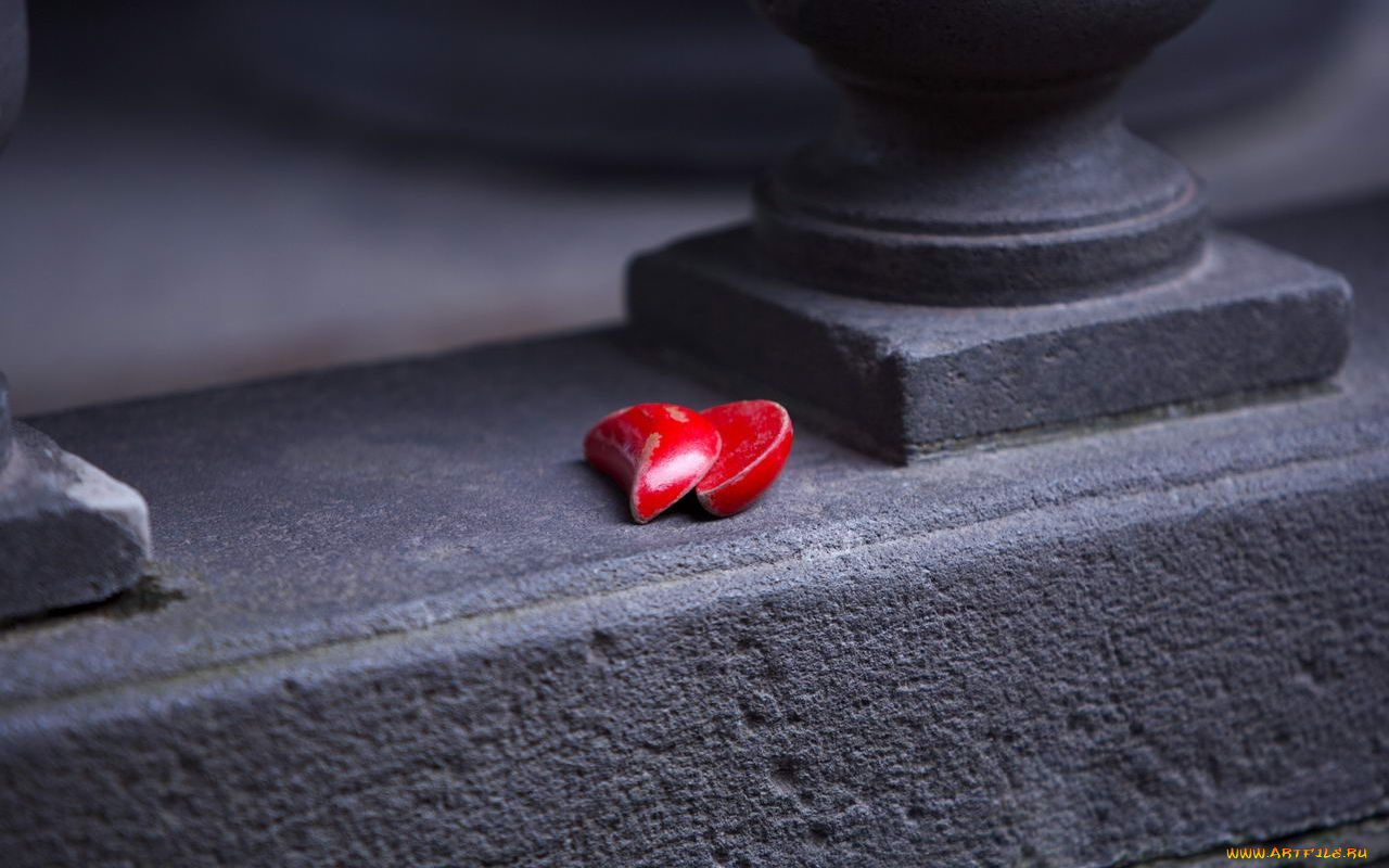 разное, другое