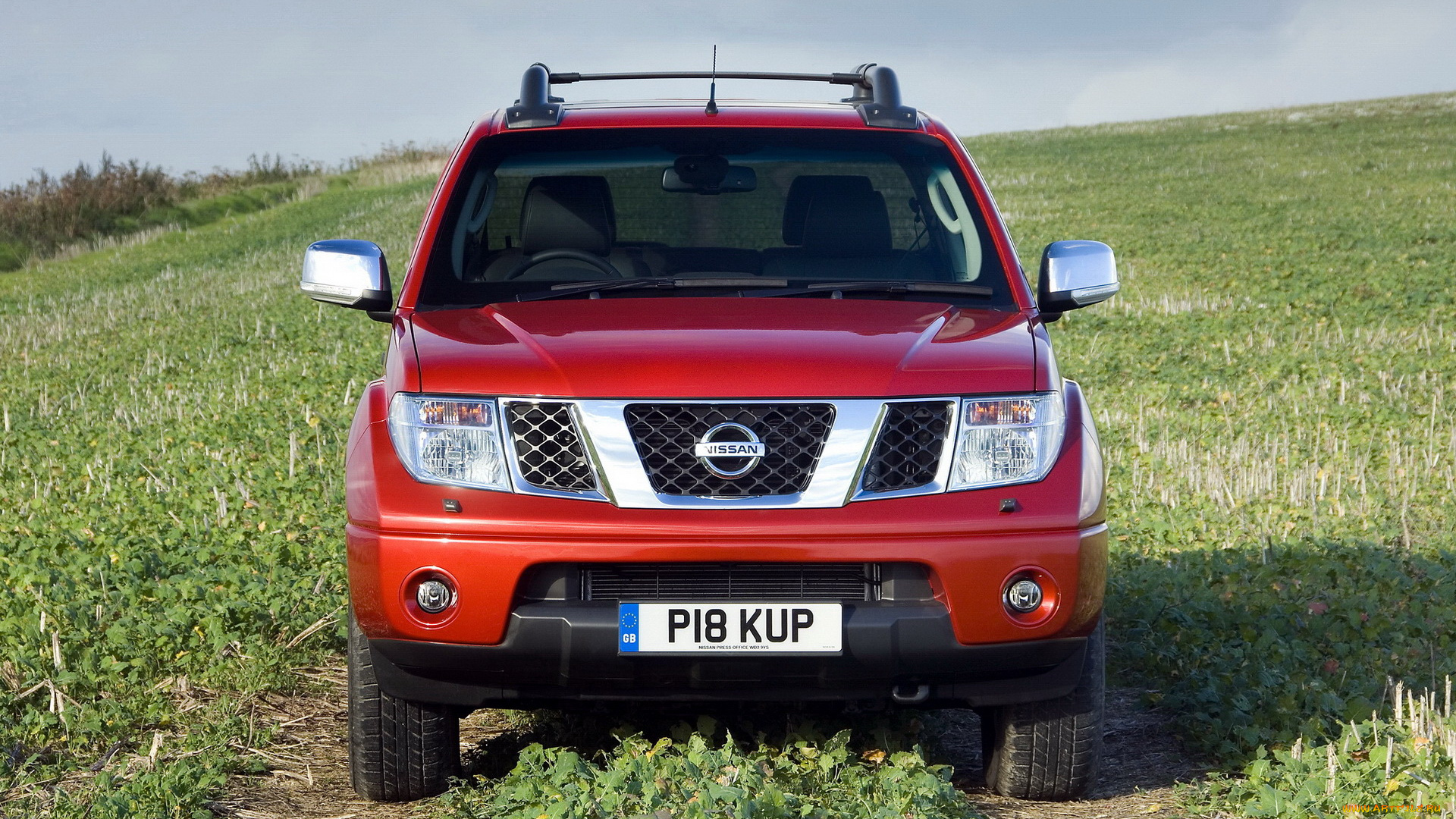 автомобили, nissan, datsun