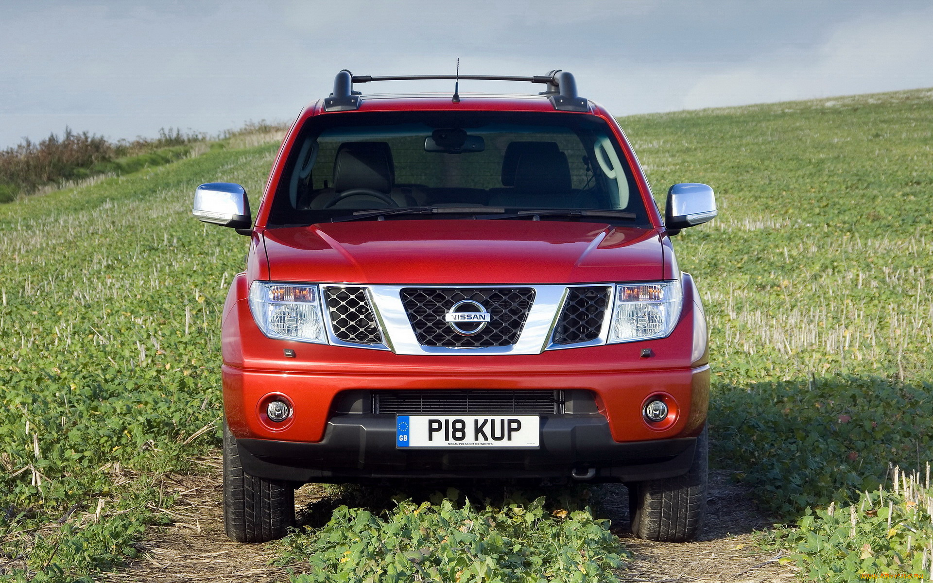 автомобили, nissan, datsun