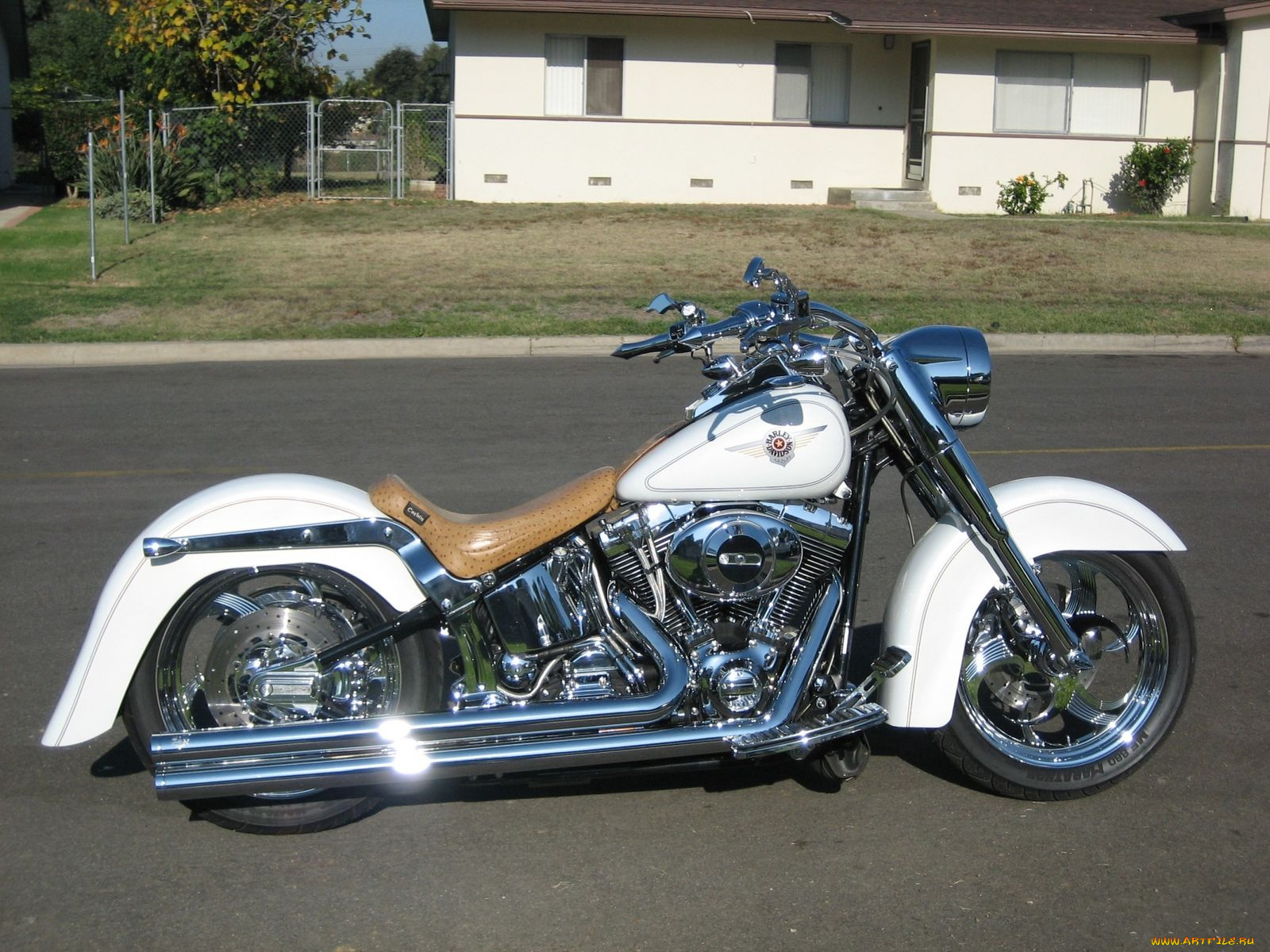 мотоциклы, harley, davidson