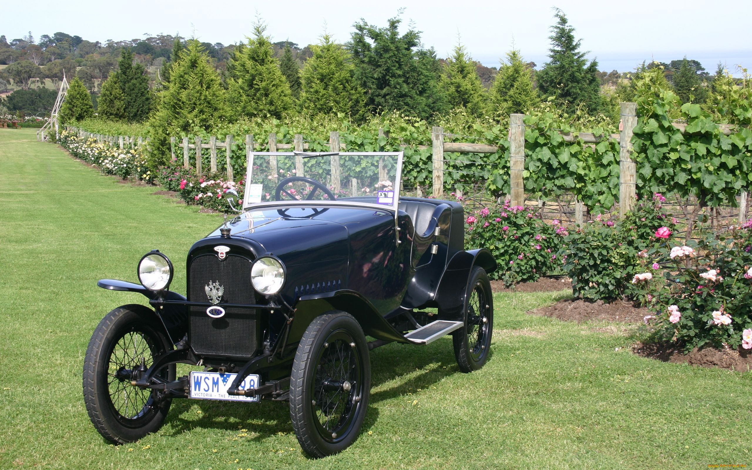 автомобили, классика, 1924, wanderer, изгородь