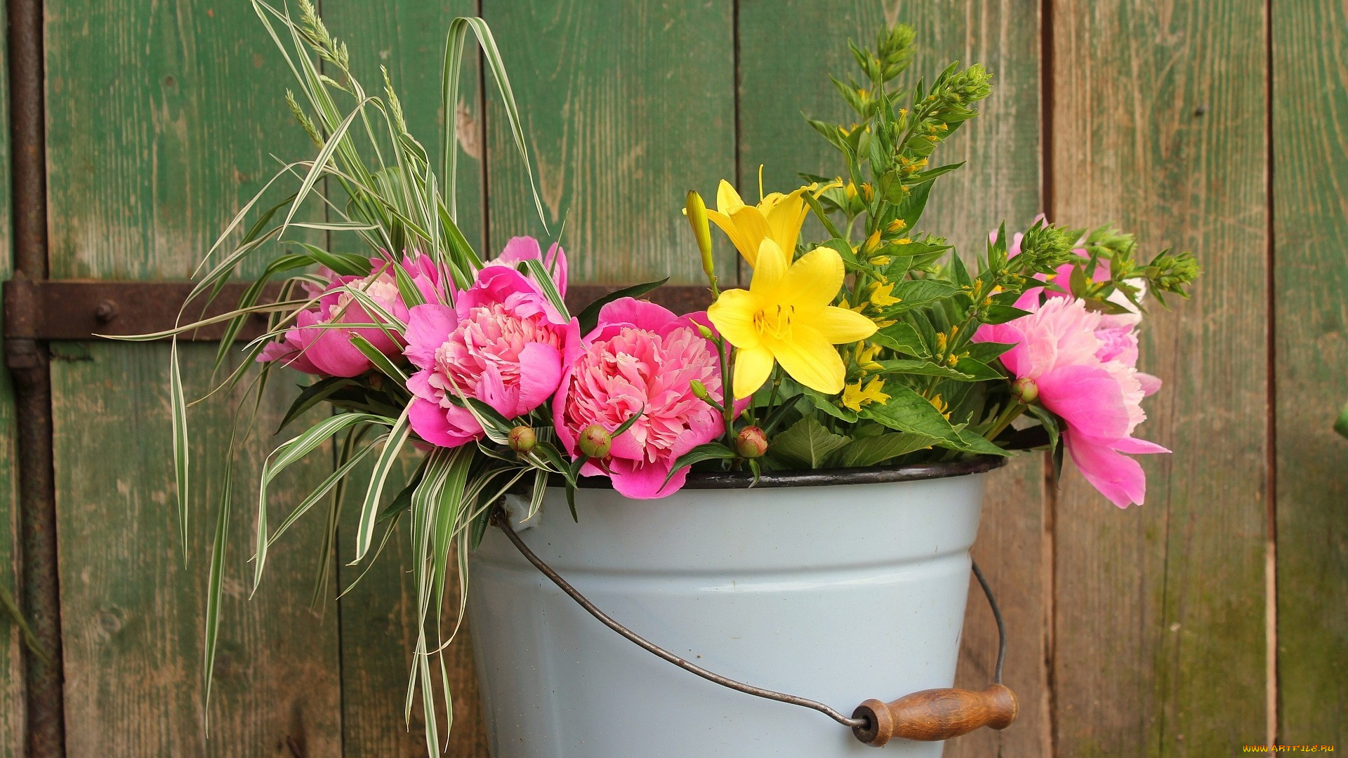 цветы, разные, вместе, ведро, пионы, лилейник