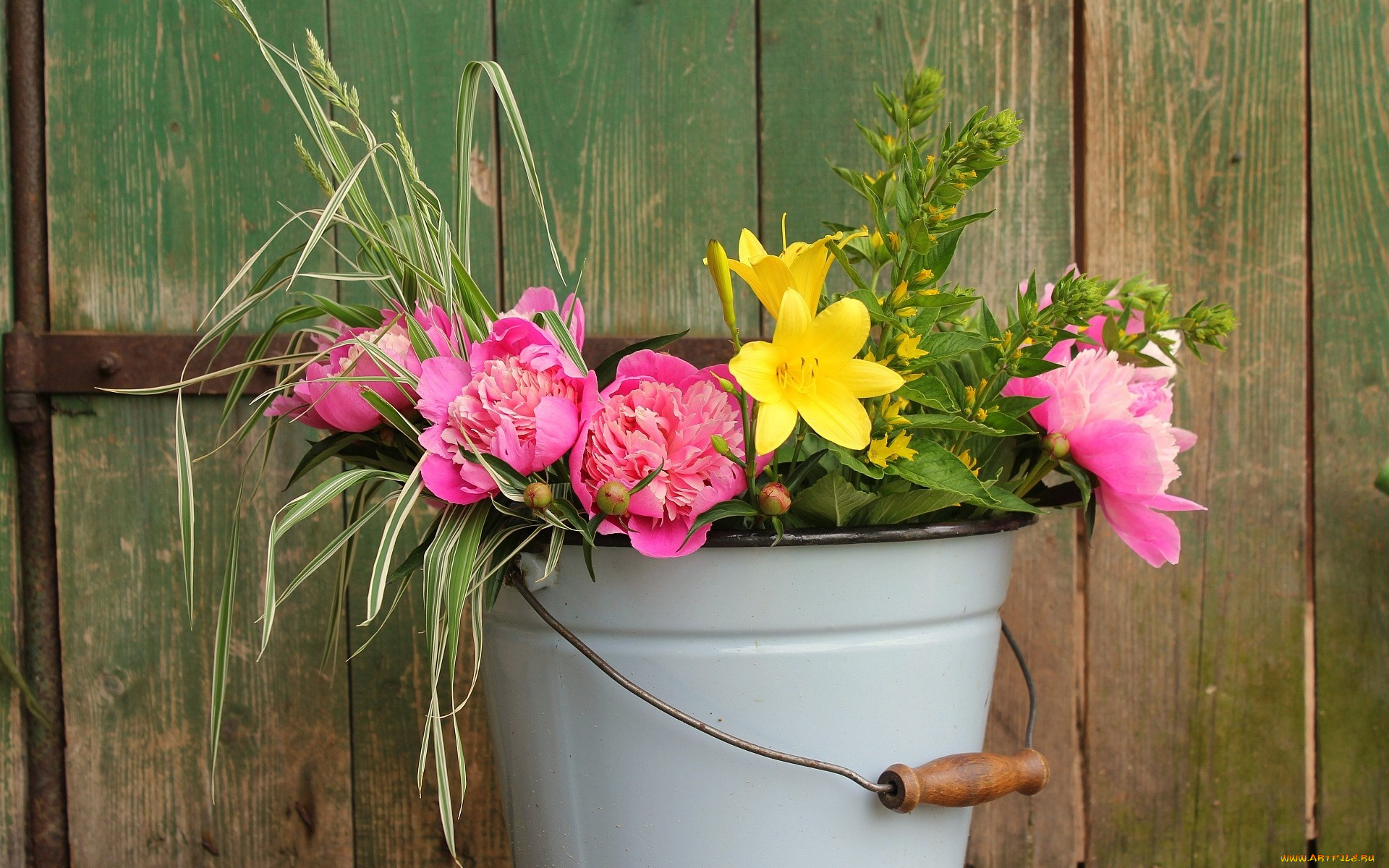 цветы, разные, вместе, ведро, пионы, лилейник
