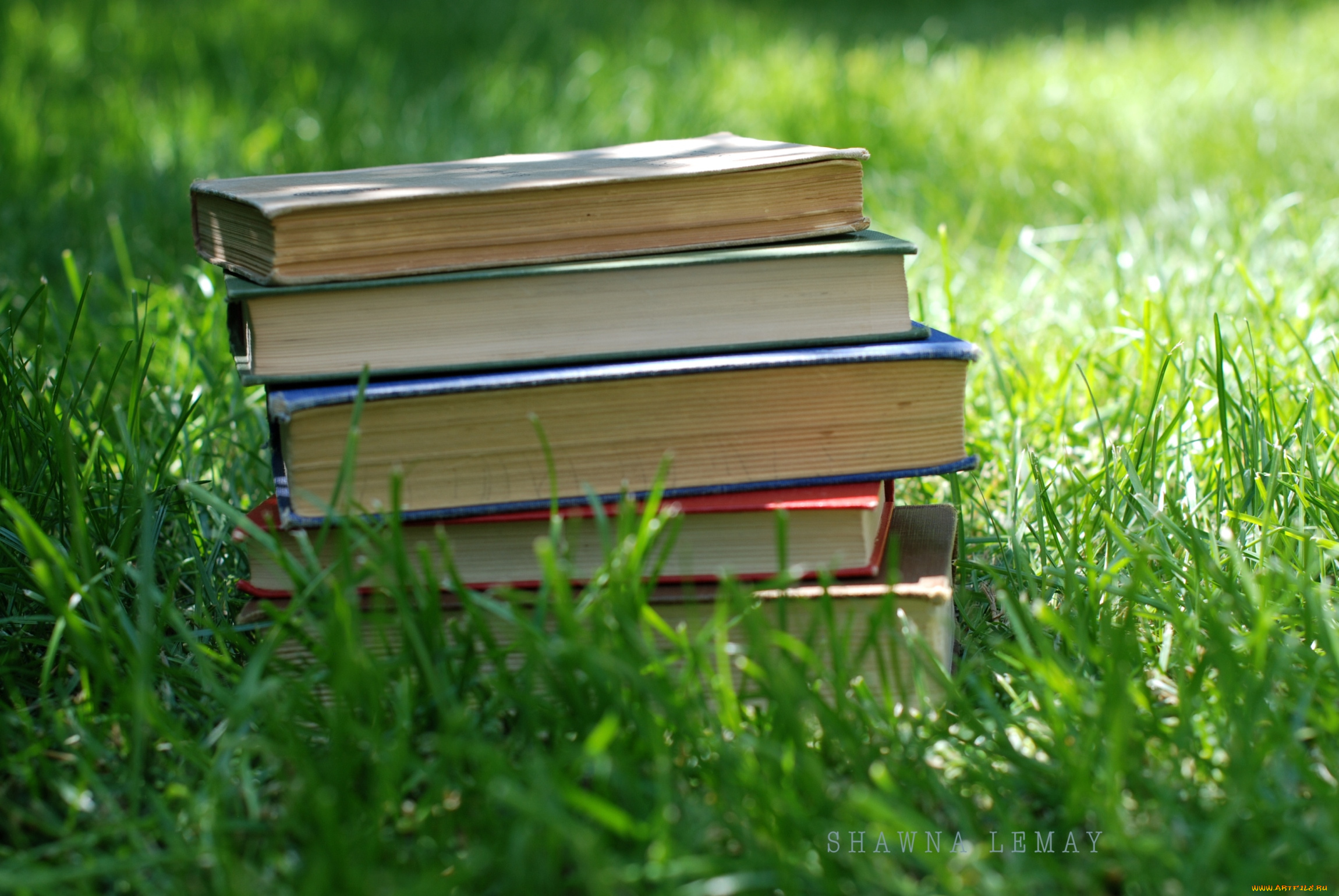 разное, канцелярия, книги, трава