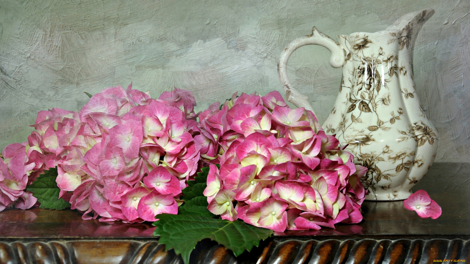цветы, гортензия, текстура, розовый