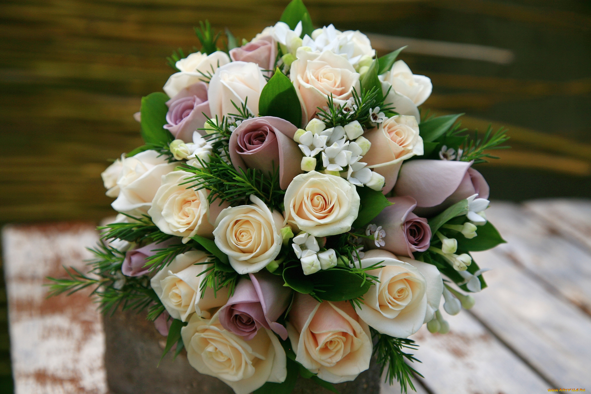 цветы, розы, букет