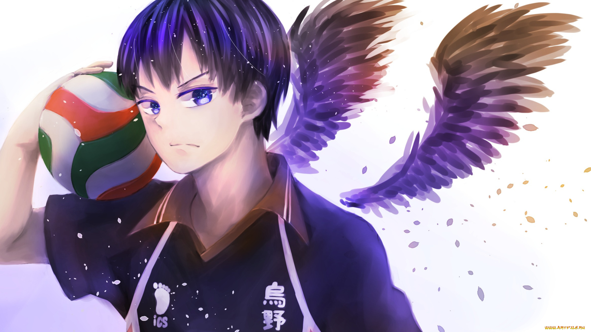 аниме, haikyuu, nyoki1228, арт, крылья, мяч, парень, tobio, kageyama